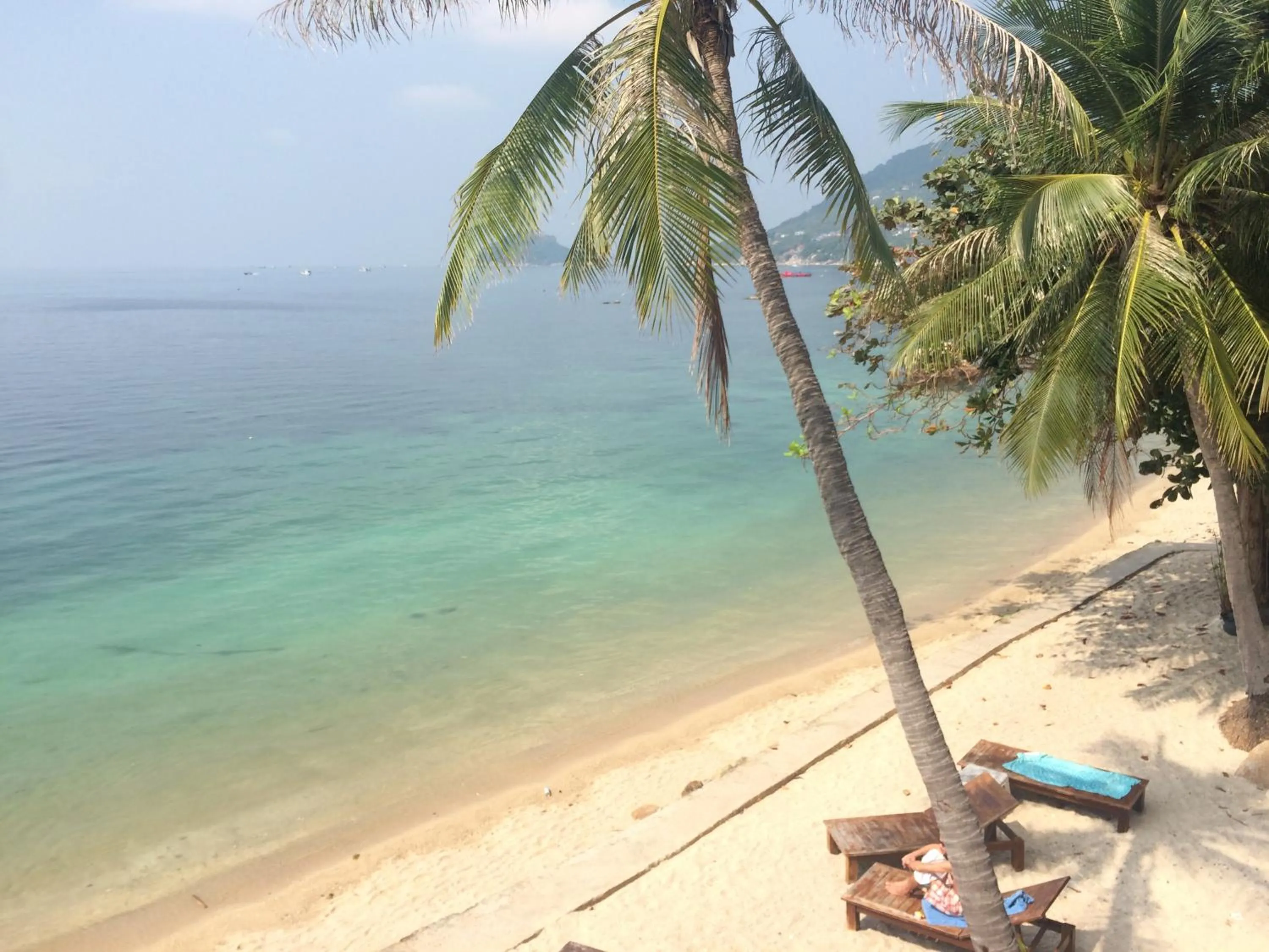 Beach in Koh Tao Regal Resort - SHA Plus