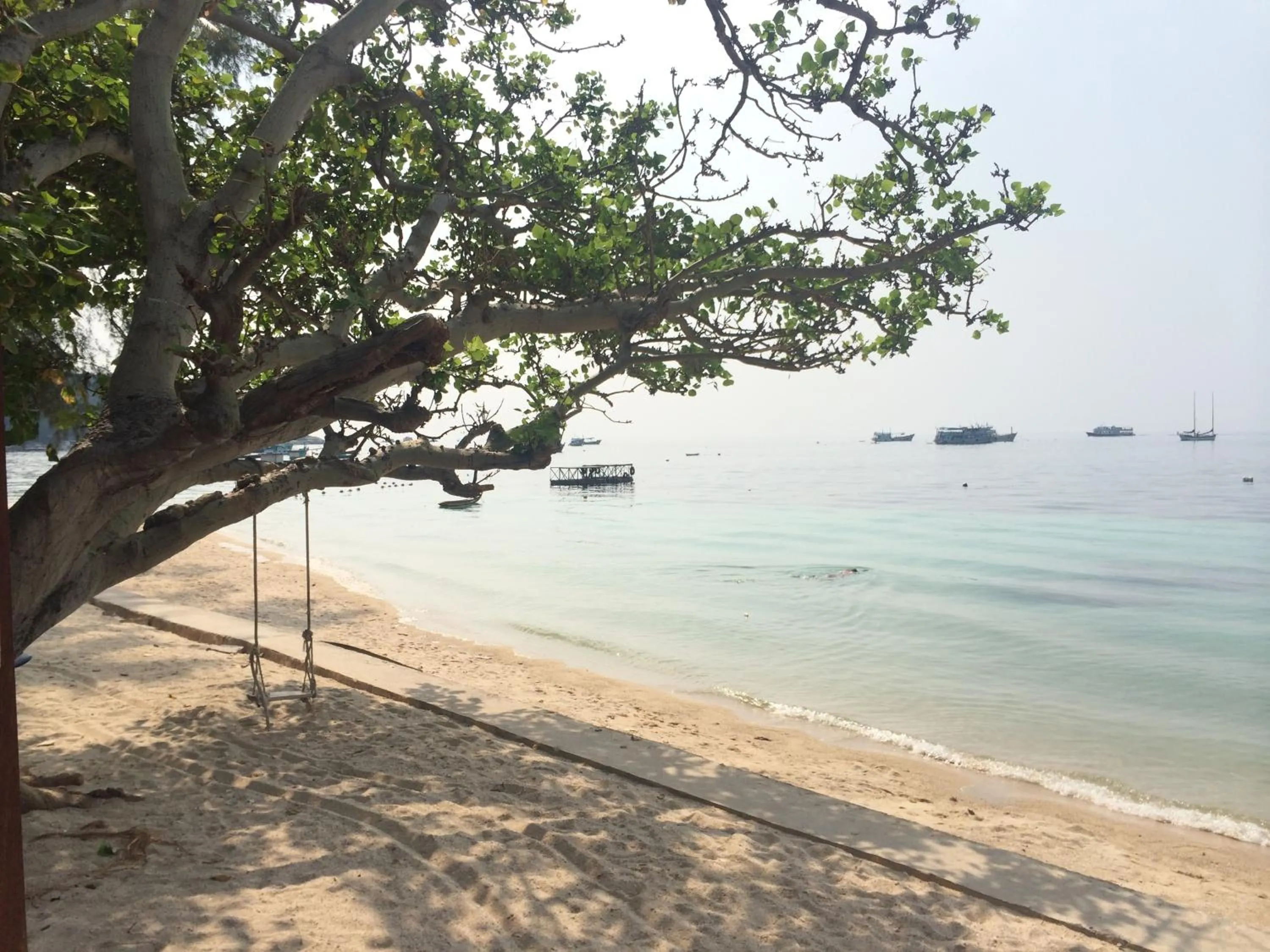 Beach in Koh Tao Regal Resort - SHA Plus