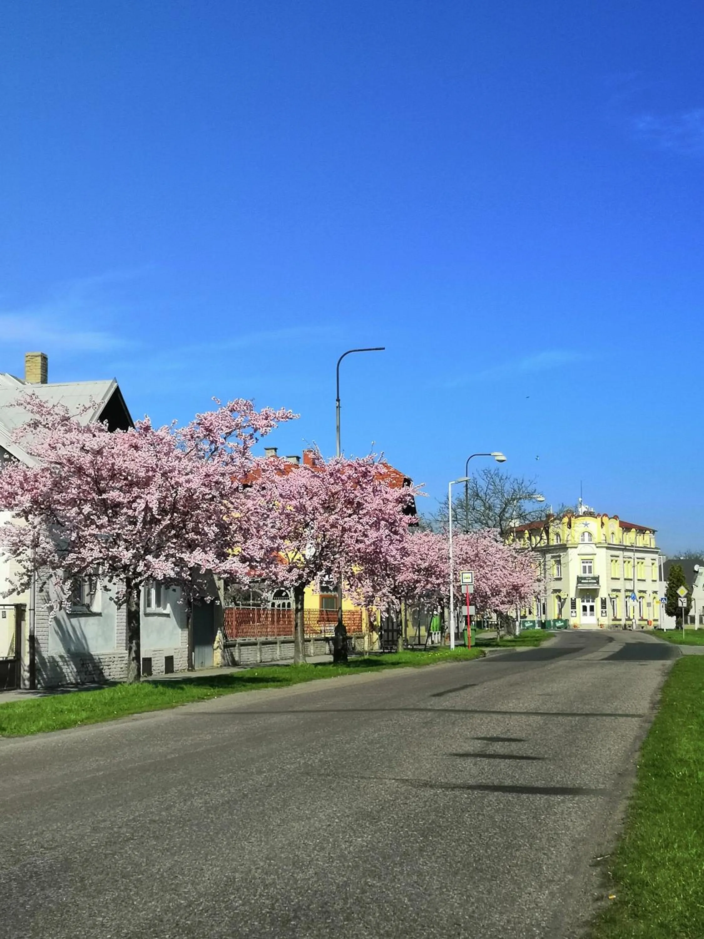 Hotel Modrá hvězda Sadská