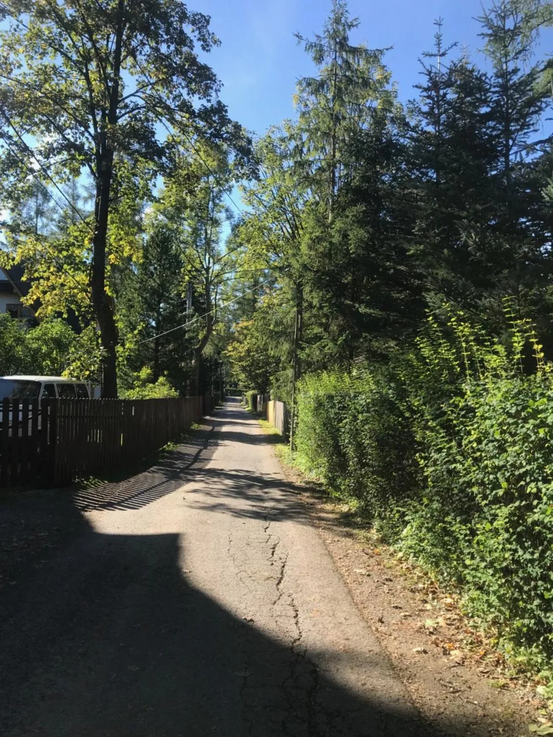 Neighbourhood in Domek Leśny