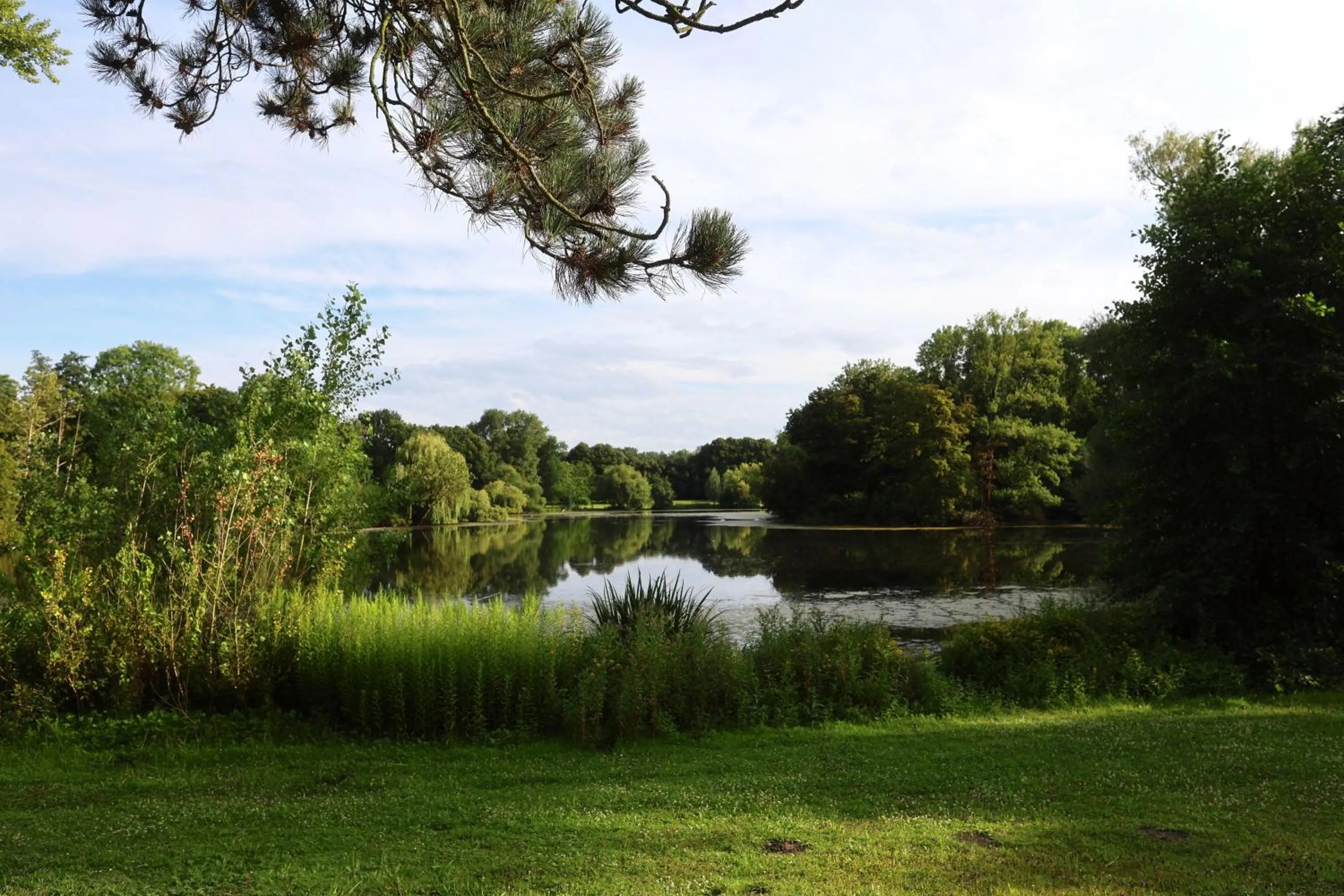 Hotel am Park