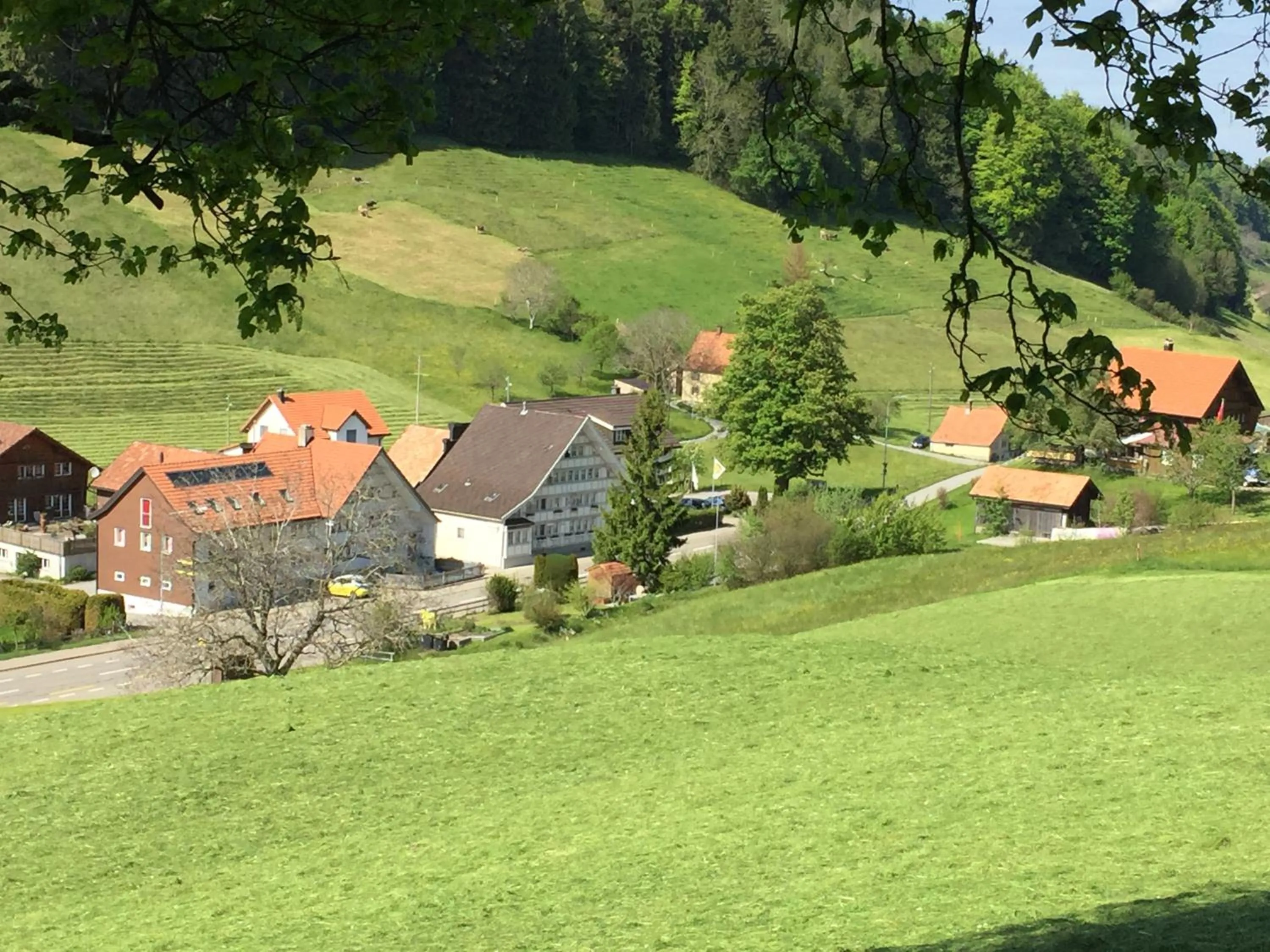 Natural landscape in Landgasthaus Bären