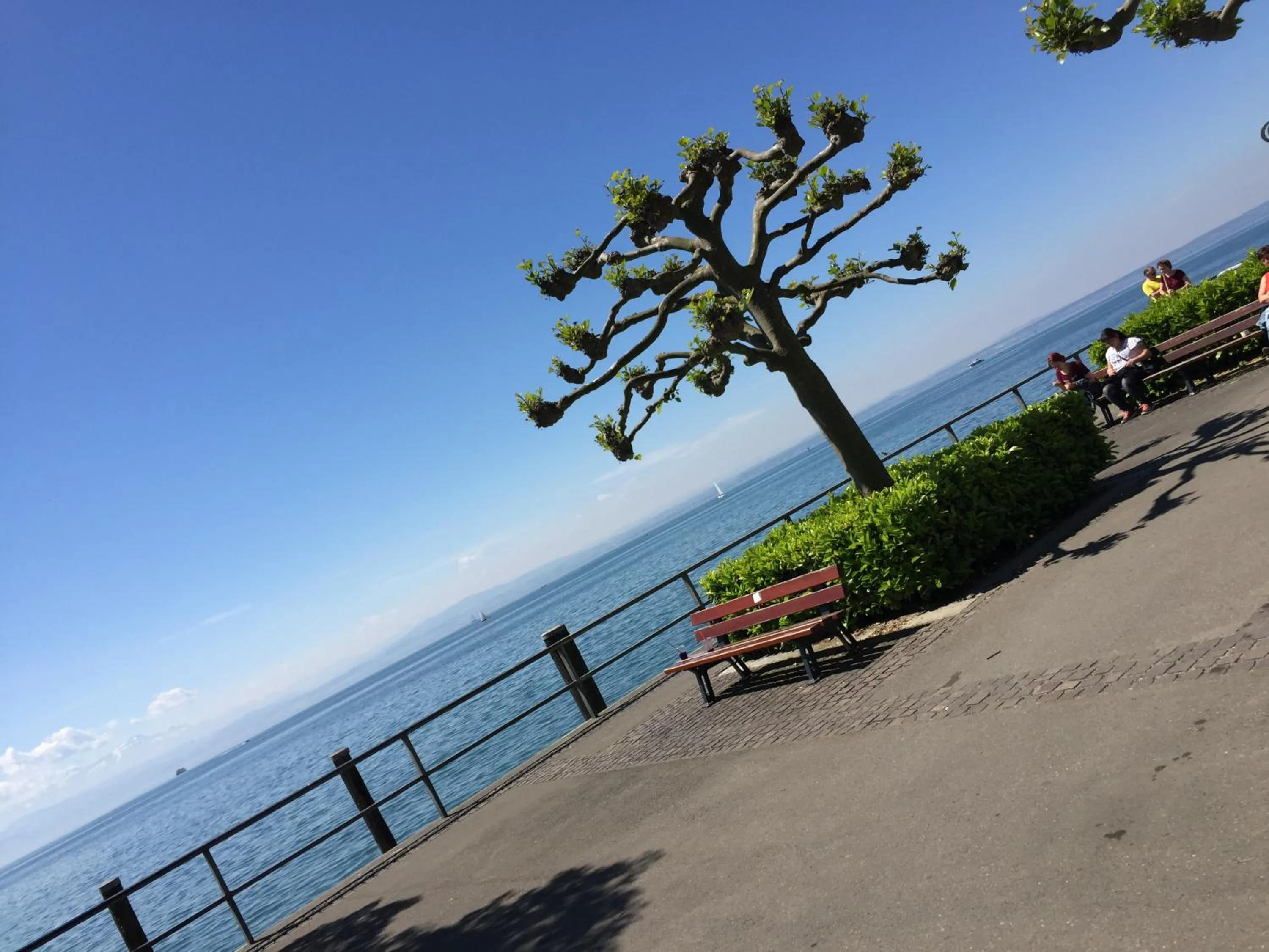 Cycling in Landgasthaus Bären