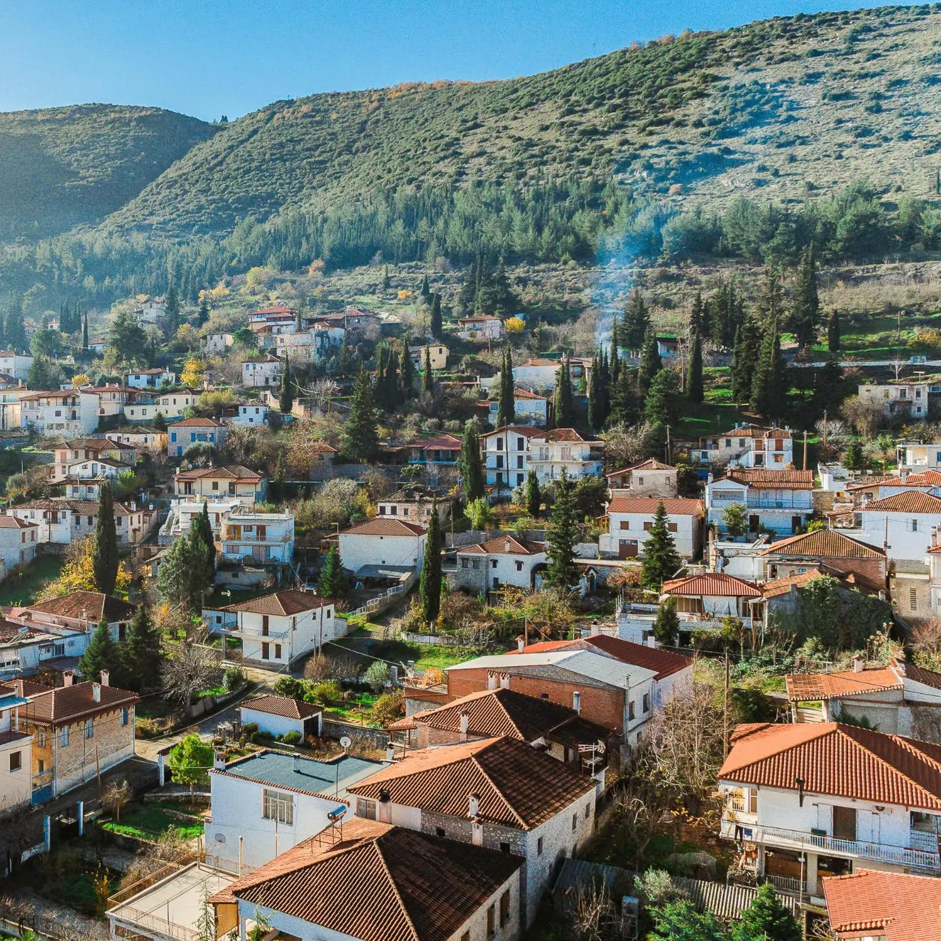View (from property/room) in Archontiko Parnassus Dadi View (from property/room) in Archontiko Parnassus Dadi