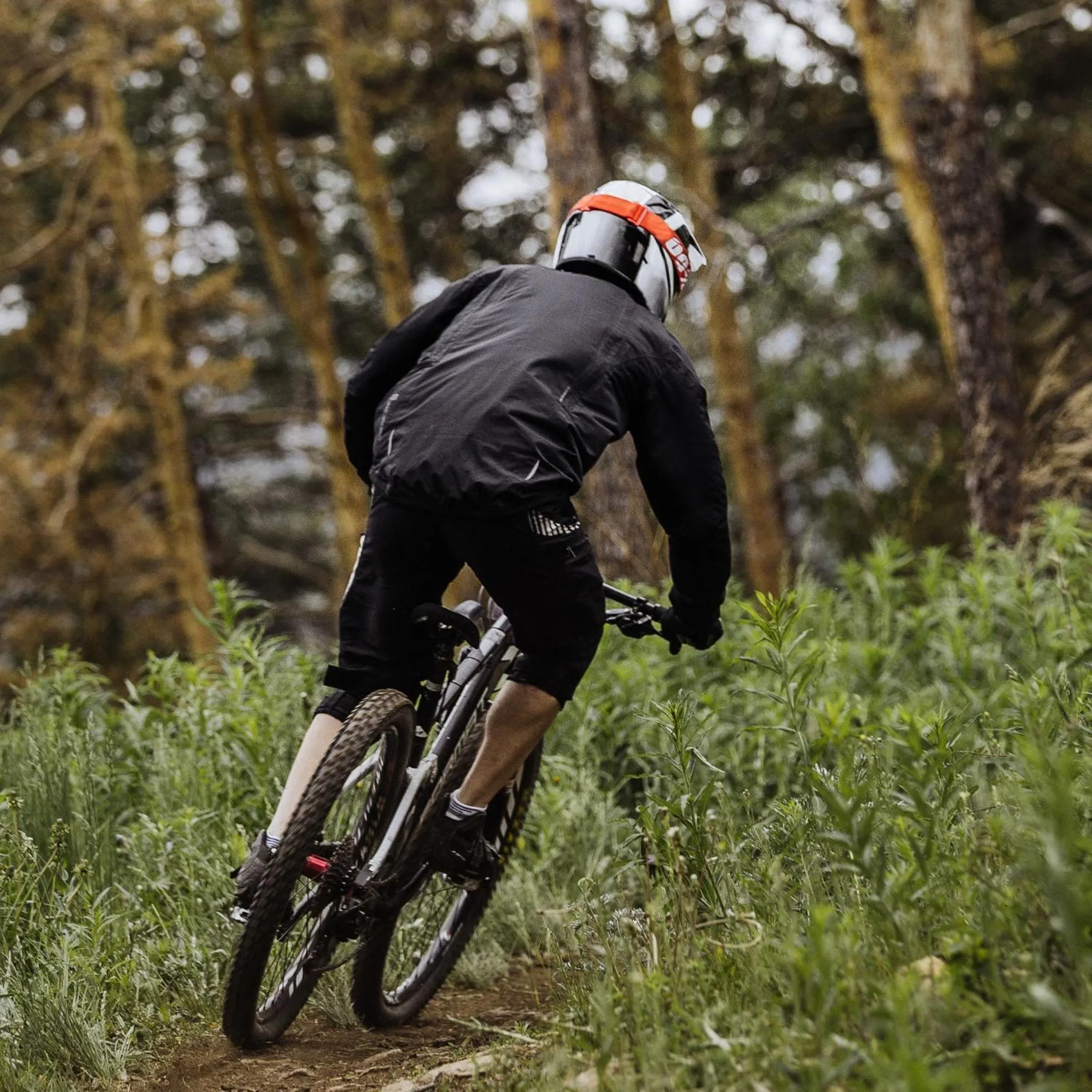 Activities in Archontiko Parnassus Dadi