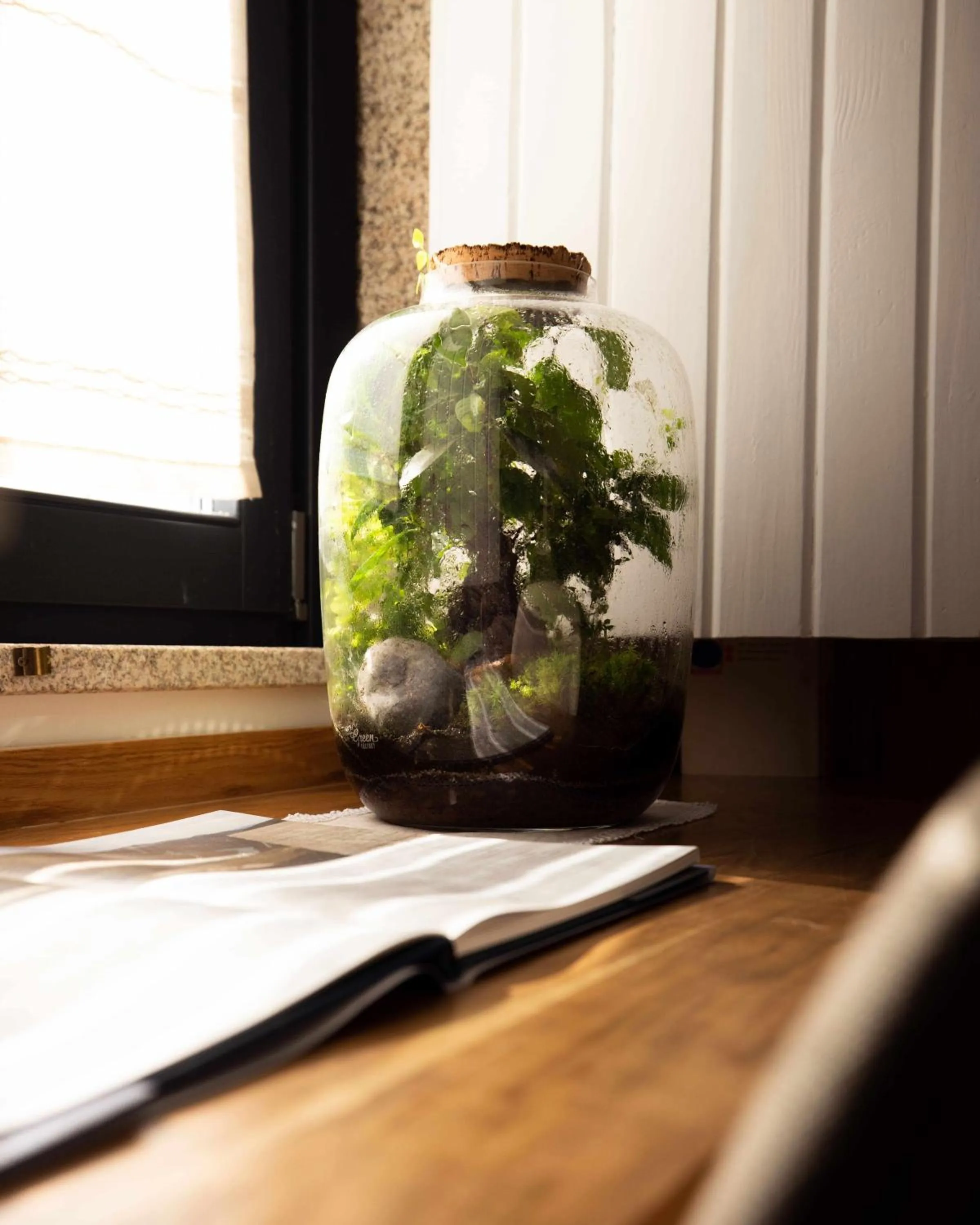 Quinta da Pousada Casa de Campo