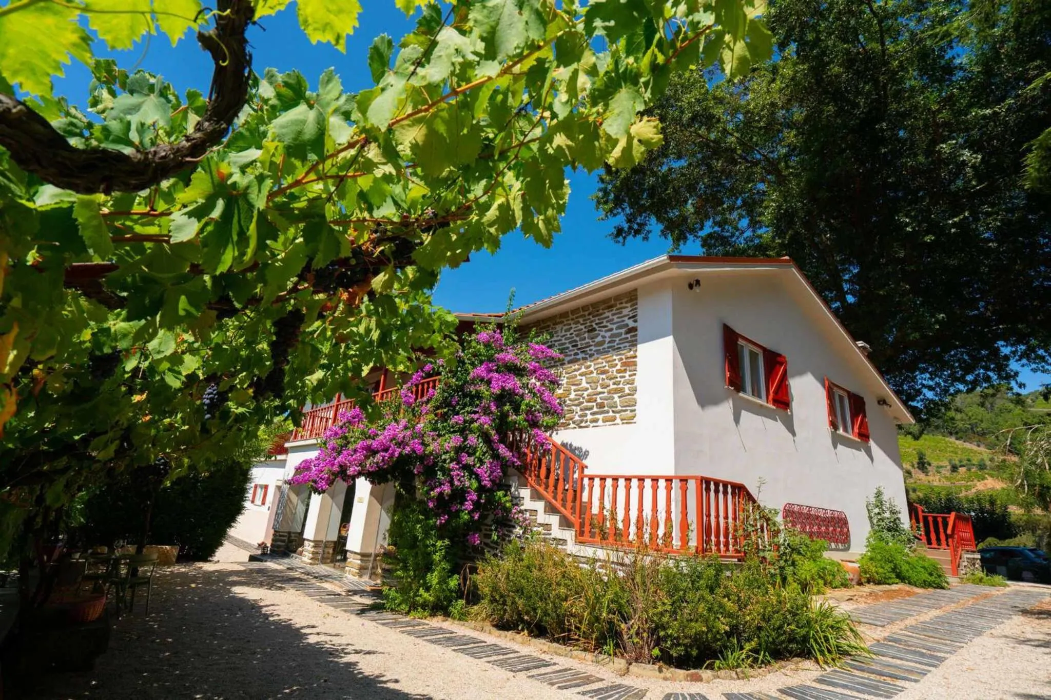 Quinta da Pousada Casa de Campo