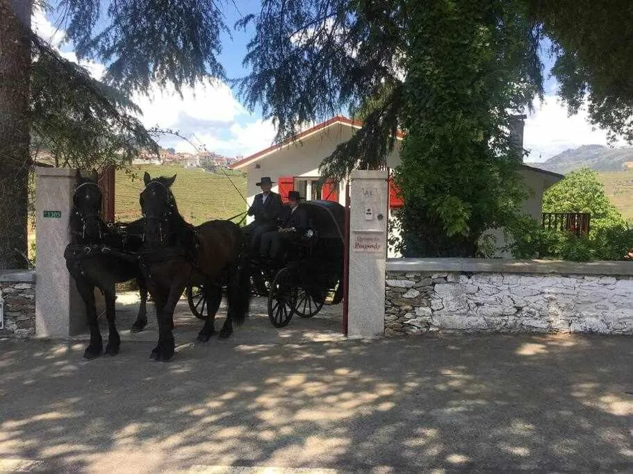 Quinta da Pousada Casa de Campo