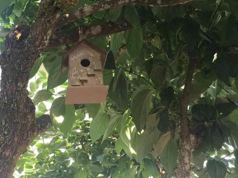 Quinta da Pousada Casa de Campo