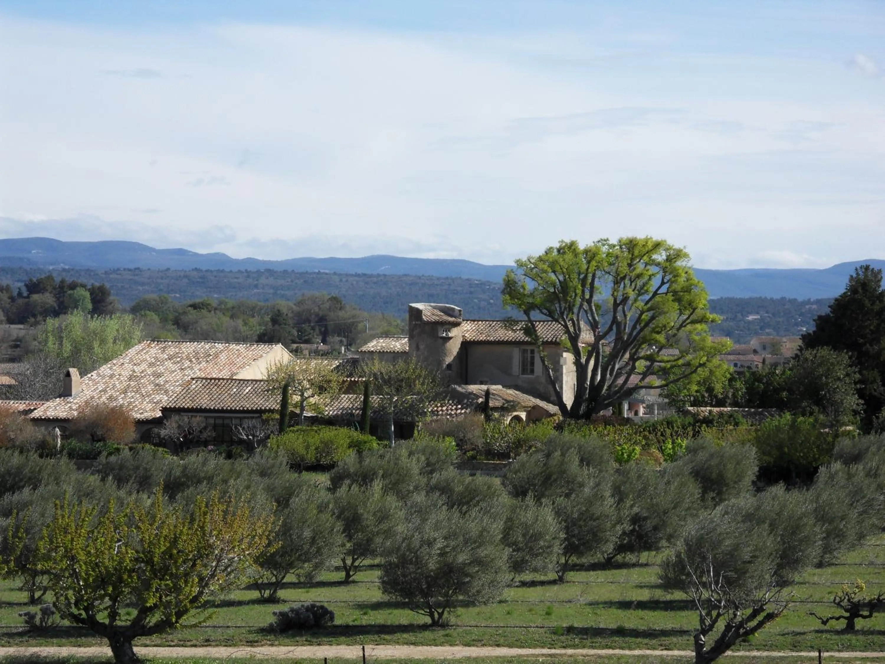 Area and facilities in Le Jardin d'Ivana