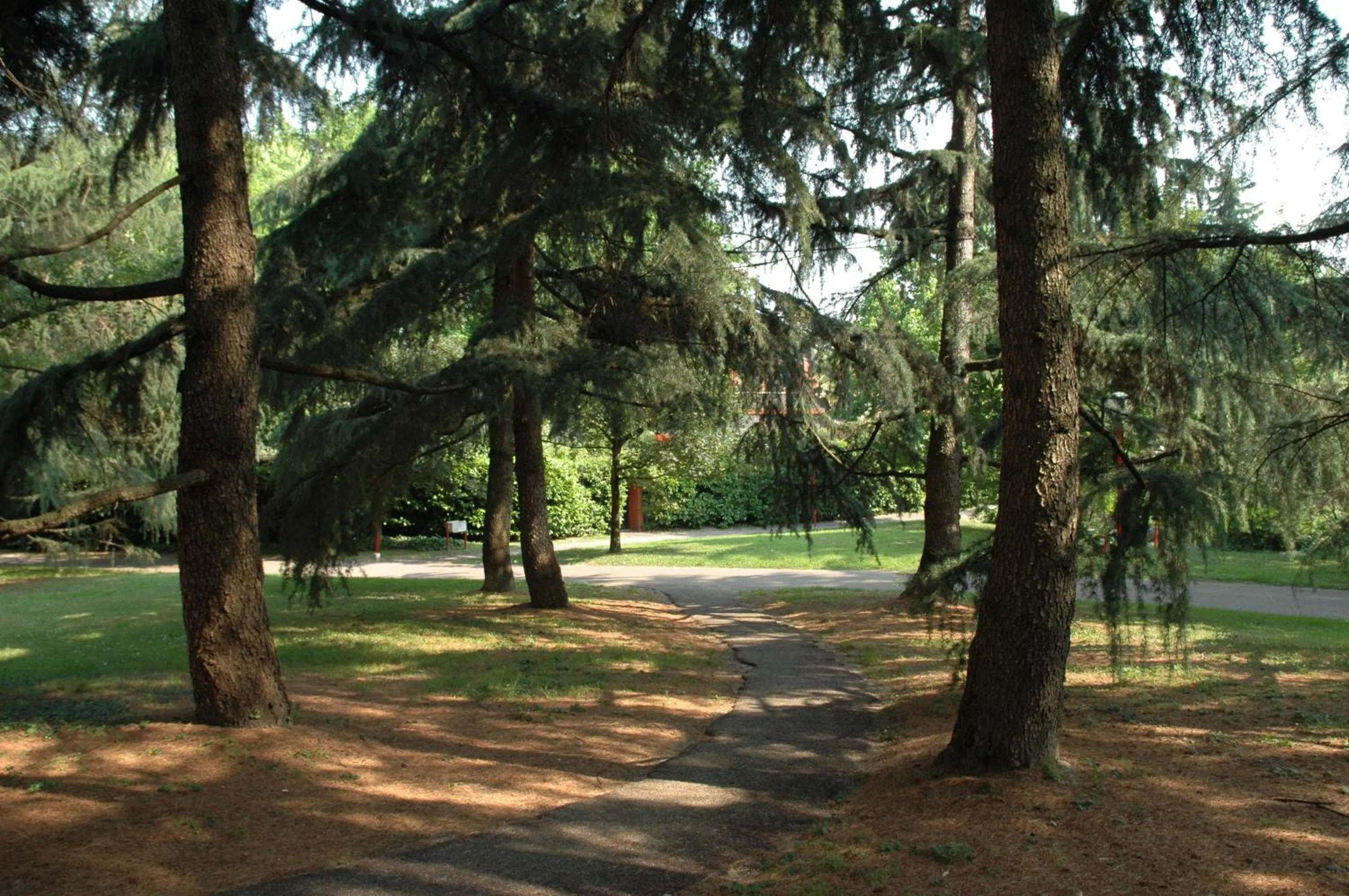 Natural landscape in B&B Botton D'Oro Basiglio