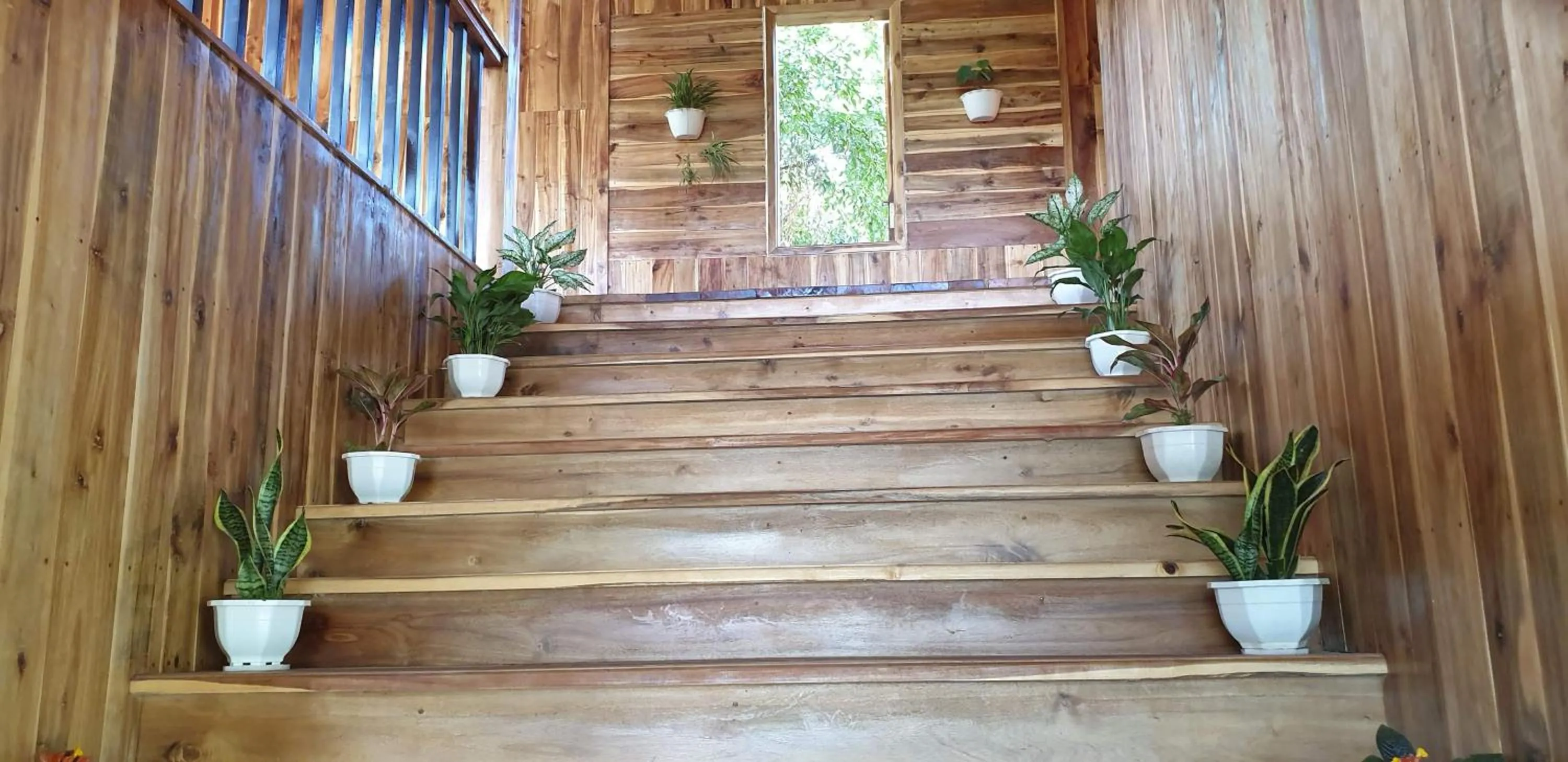 Facade/entrance in Tuyet's Homestay