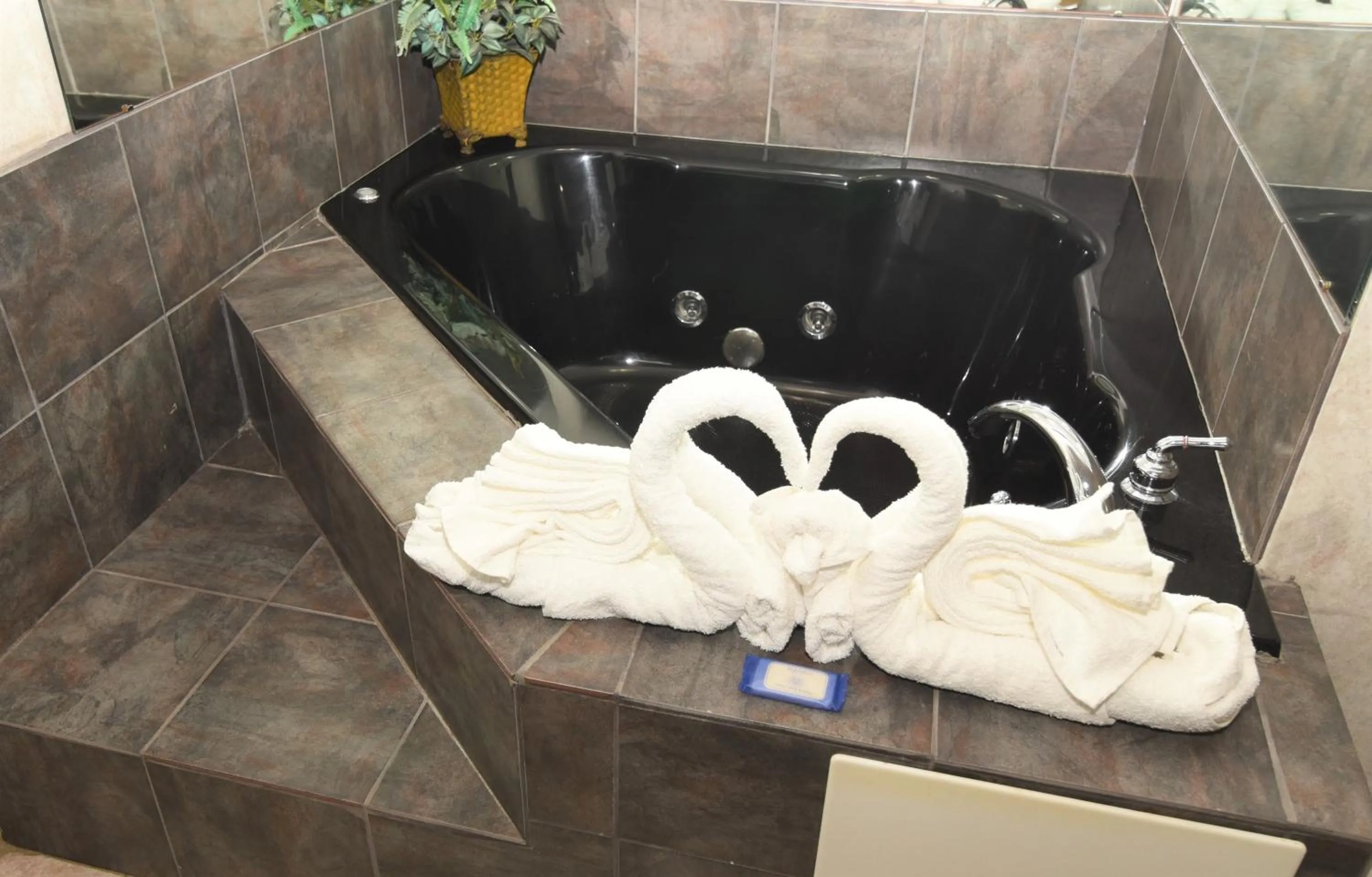 Area and facilities in Country View Inn & Suites Atlantic City