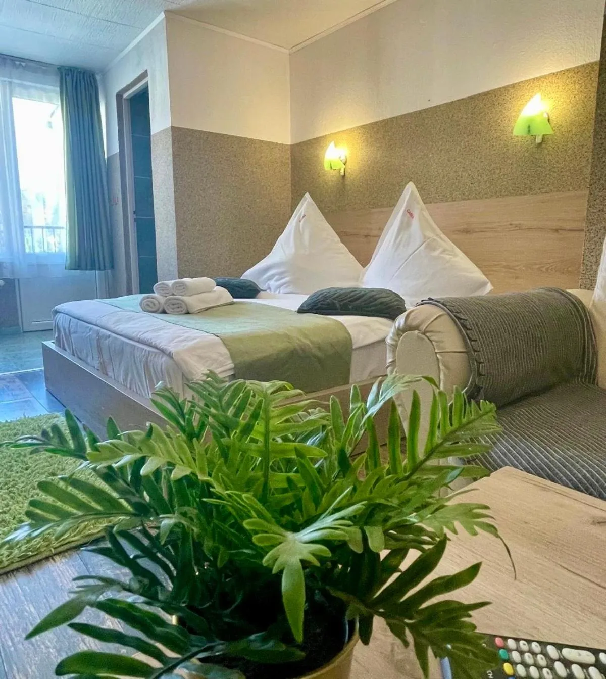 Bed in Pensiunea Carina