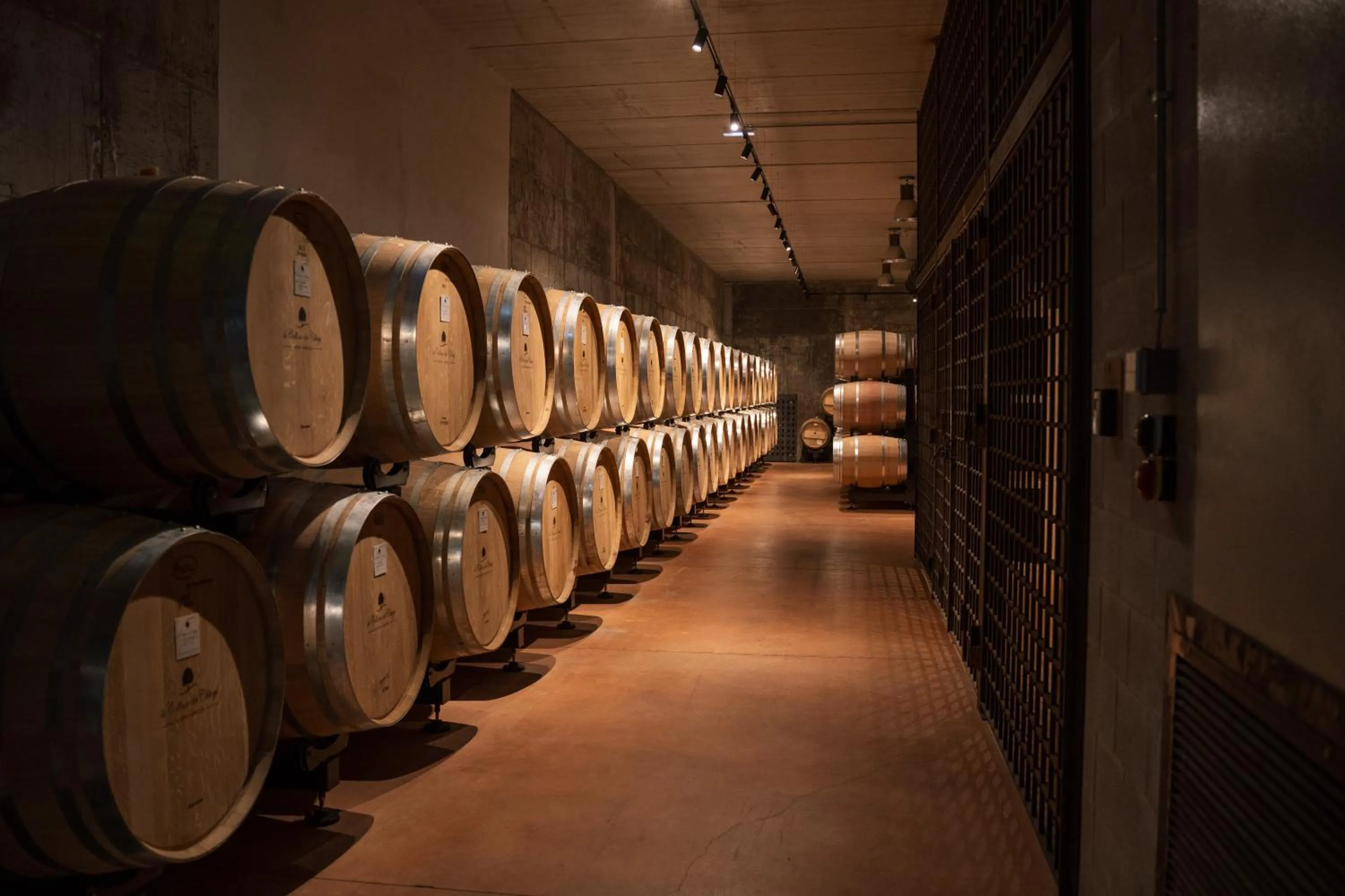 View (from property/room) in La Collina dei Ciliegi