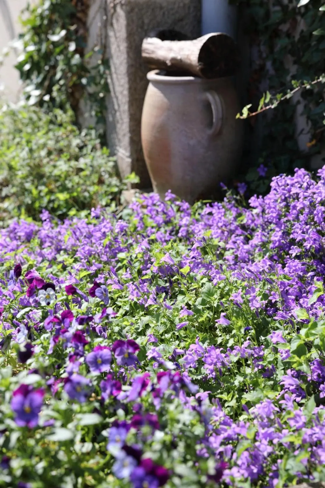 Logis Hotel Auberge Dupuytren