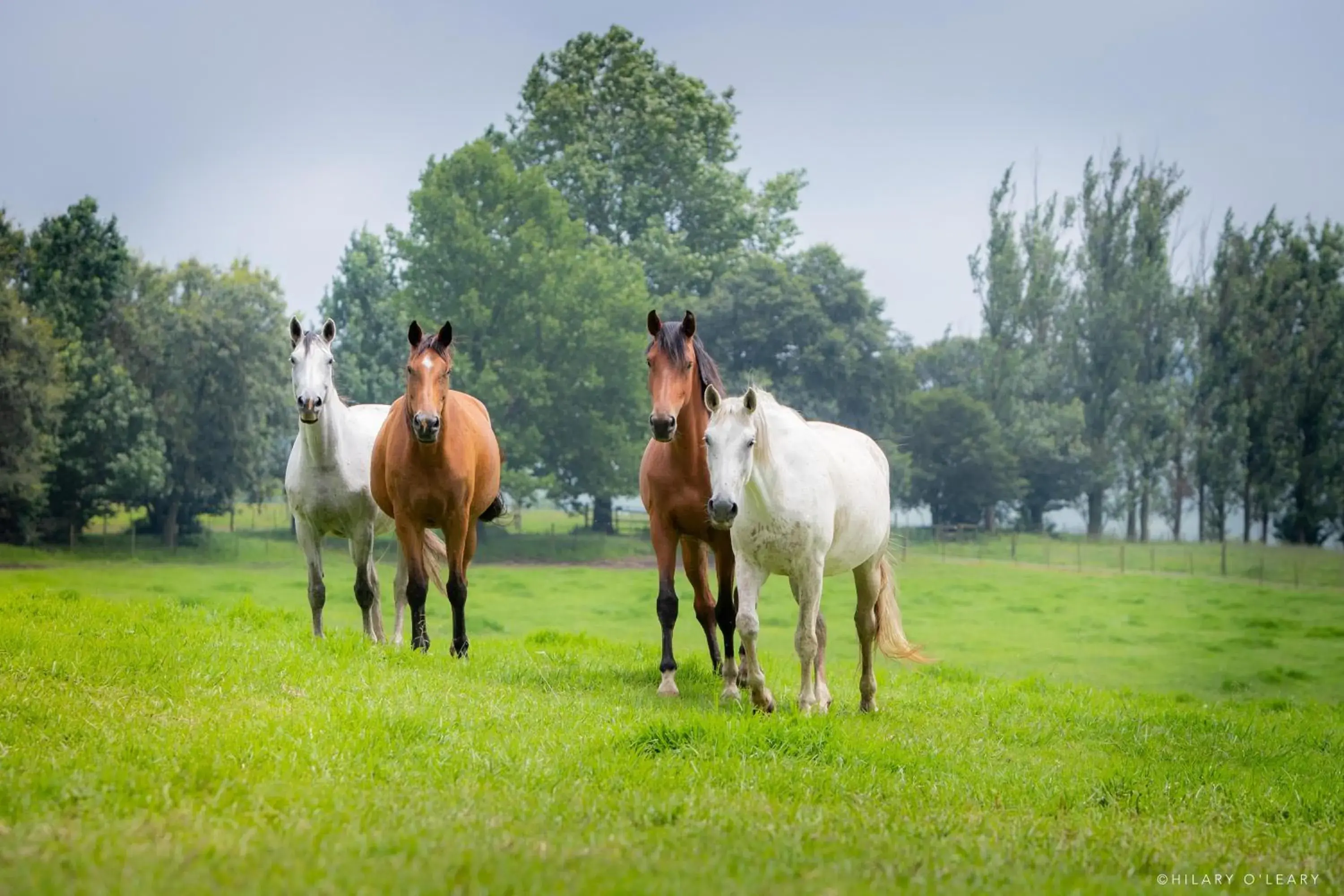 Property building in Hartford House Property building in Hartford House
