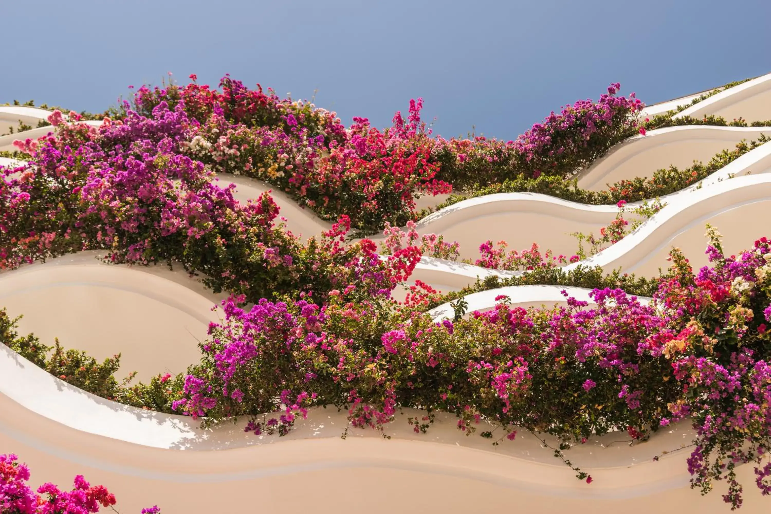 Facade/entrance in Grand Miramar All Luxury Suites & Residences Facade/entrance in Grand Miramar All Luxury Suites & Residences