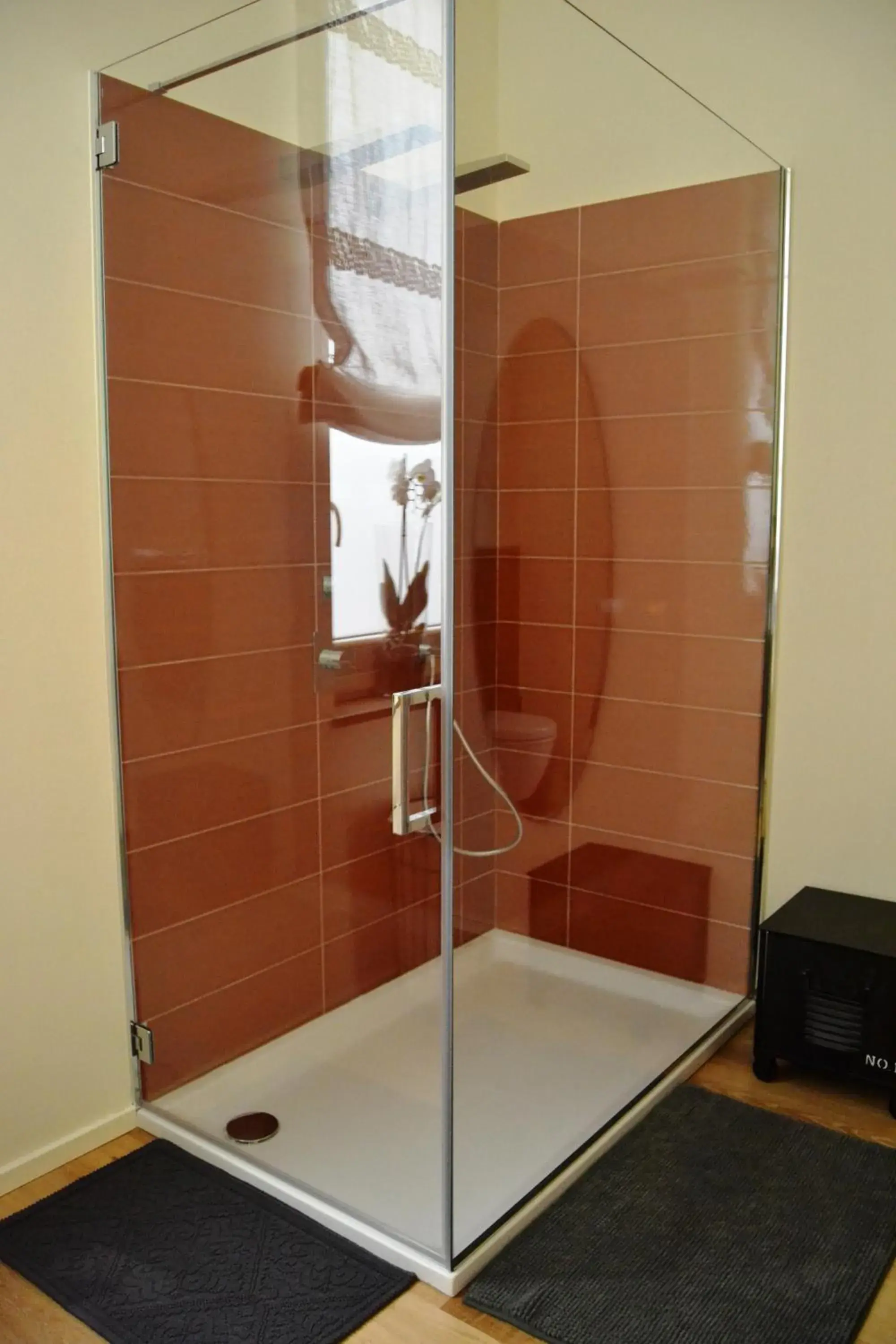 Suite in A CASA DA LISA (exclusive room) Suite in A CASA DA LISA (exclusive room)