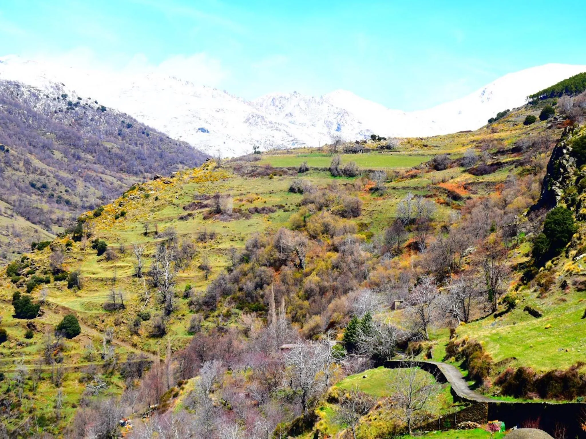 Other in Apartamentos Vista Veleta