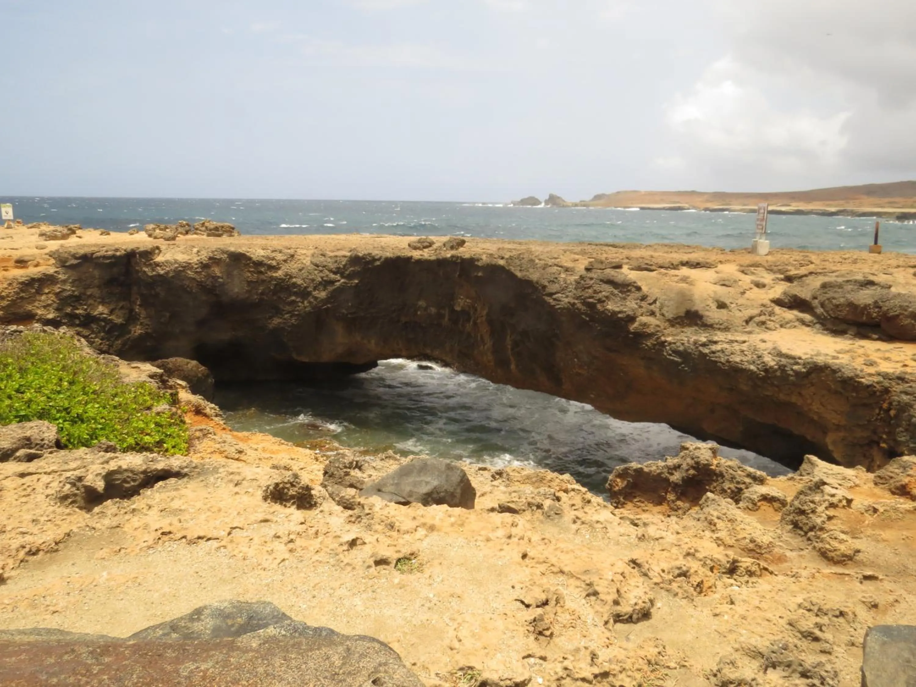 Natural landscape in Karibu Aruba Boutique Hotel