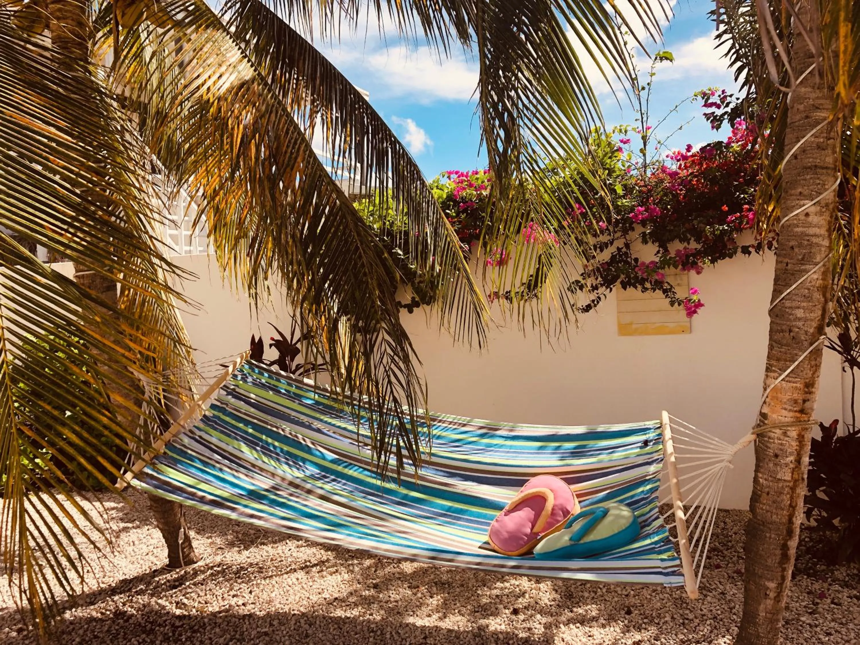 Garden in Karibu Aruba Boutique Hotel