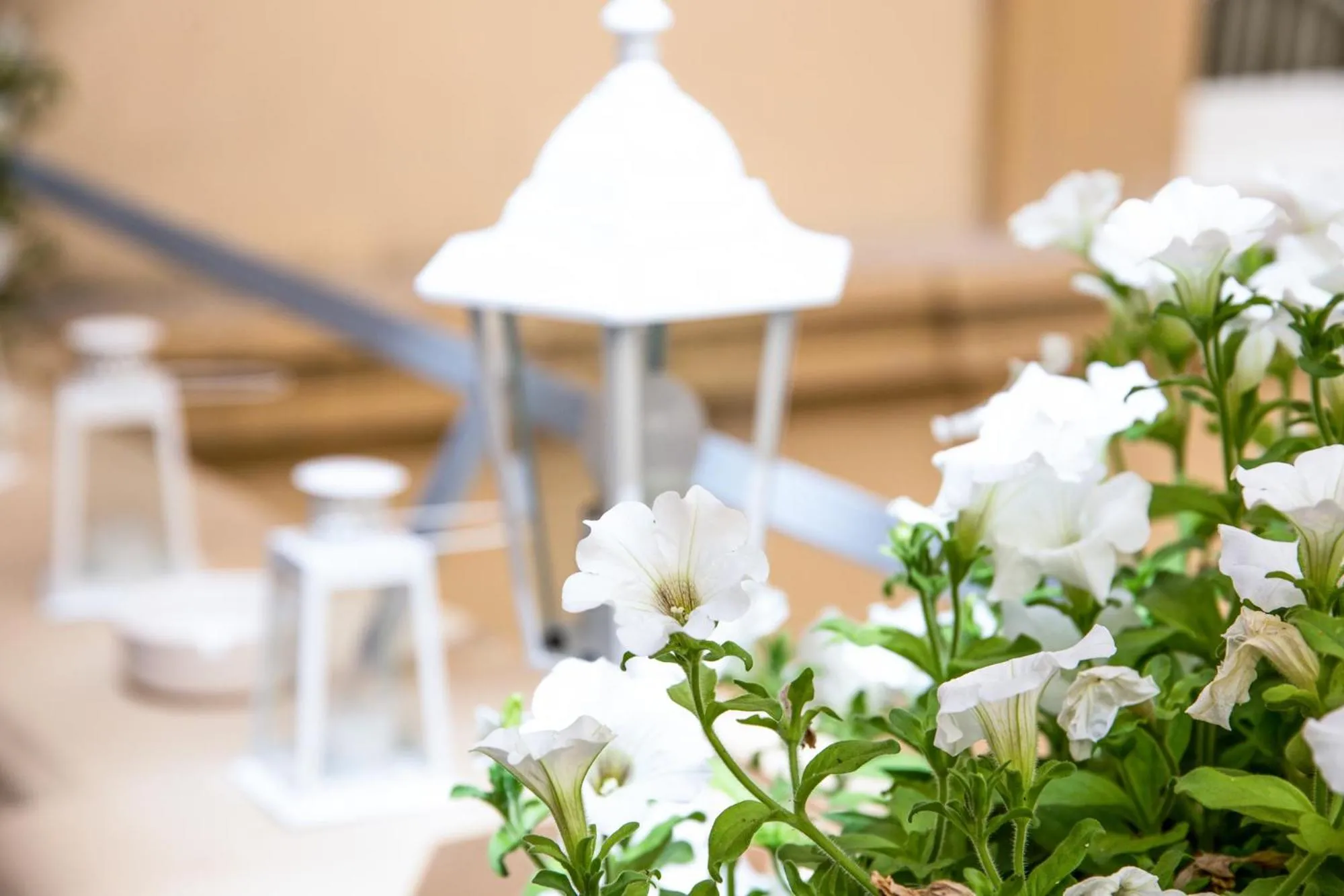 Decorative detail in Regina Elena