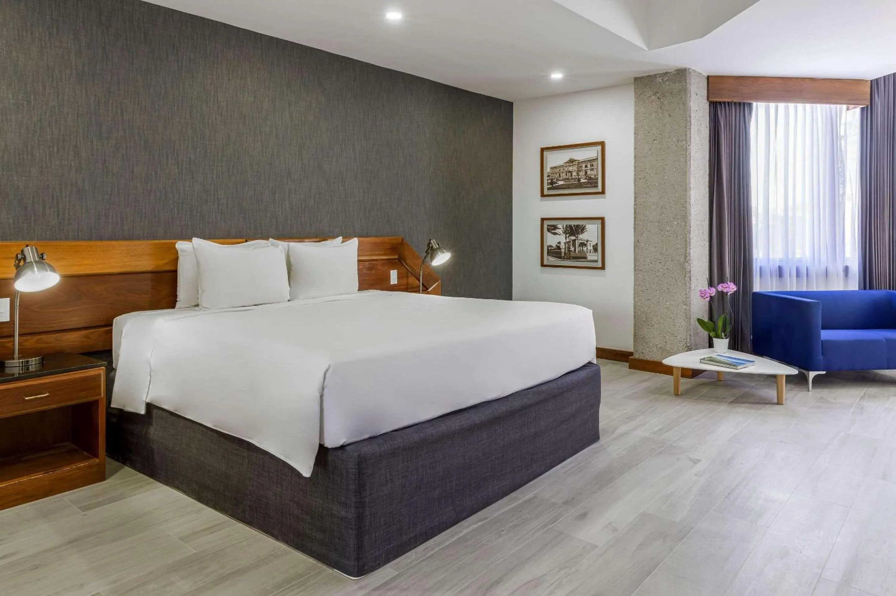 Bedroom, Bed in Radisson San Jose-Costa Rica