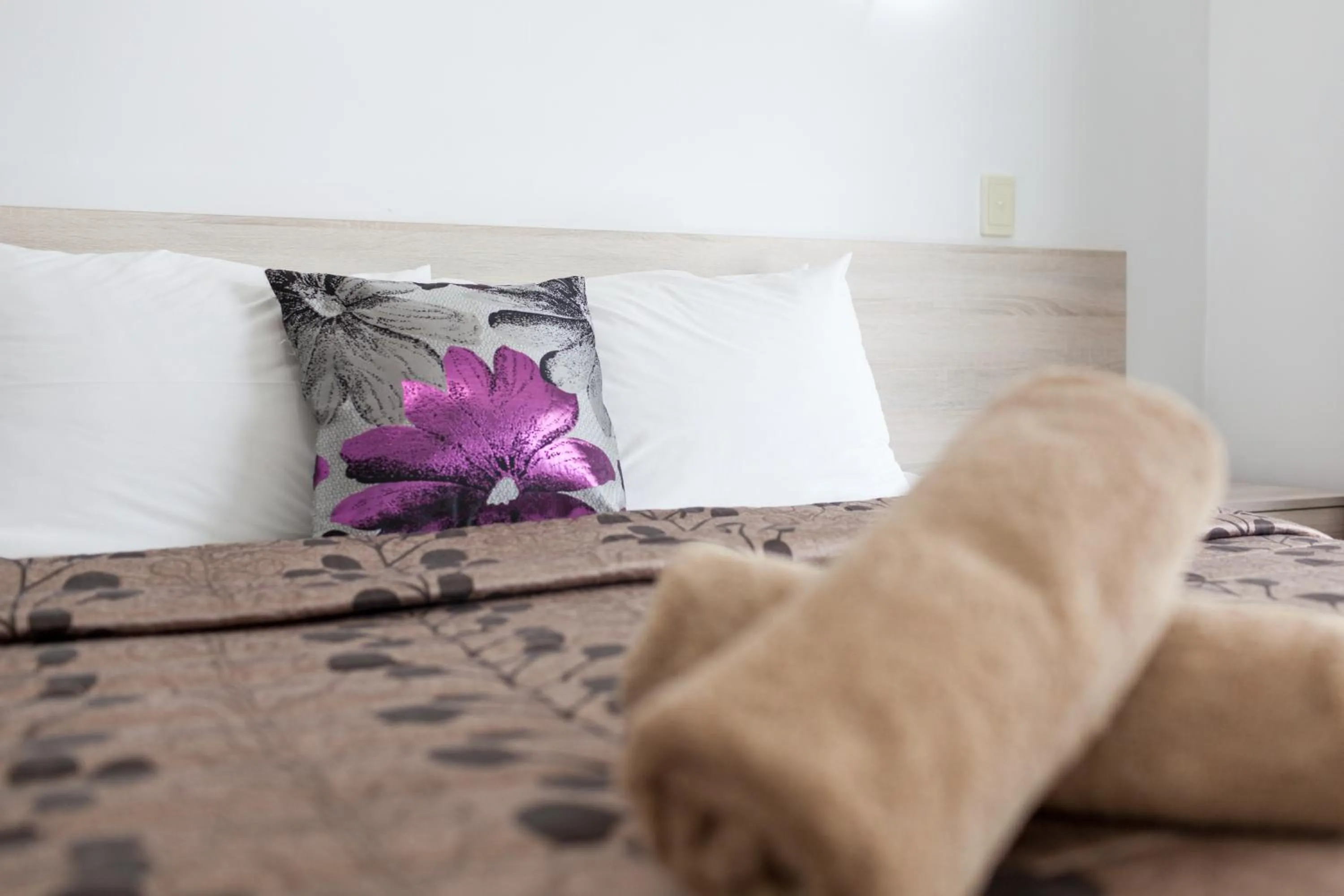 Bed in Rose Court Motel