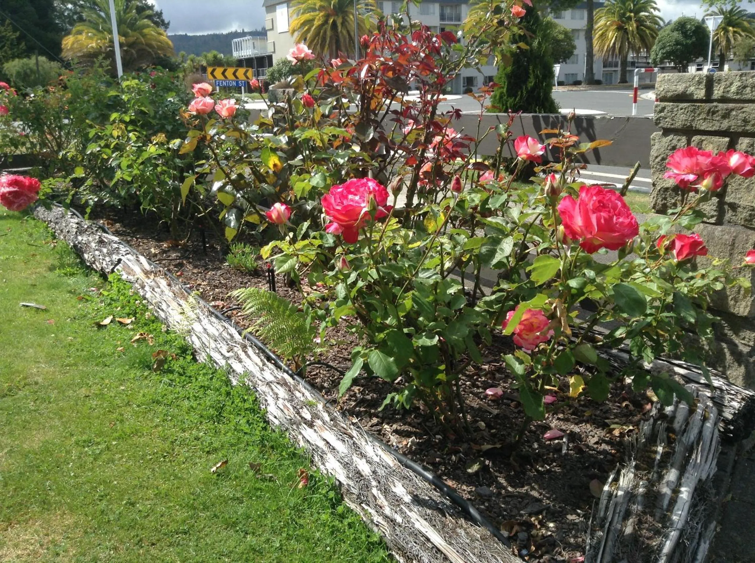 Garden in Rose Court Motel