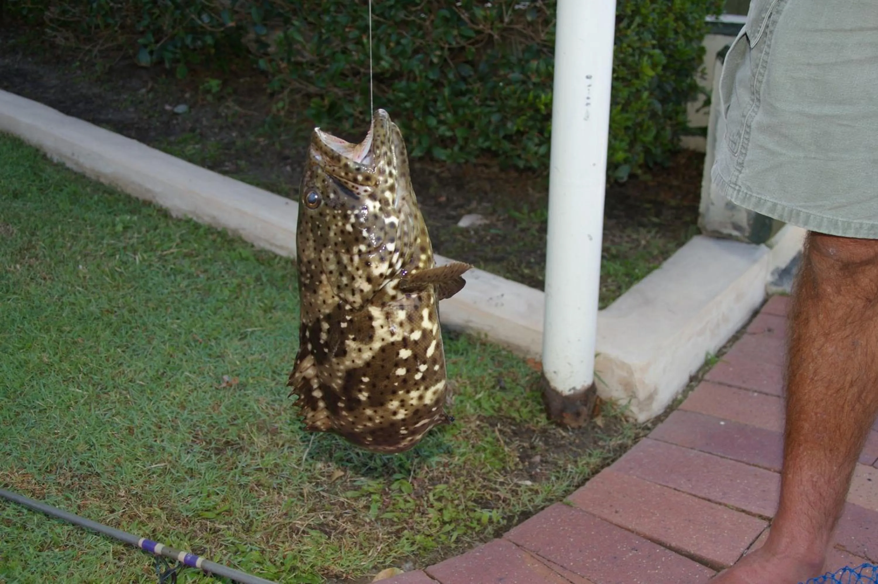 Fishing in Trafalgar Towers