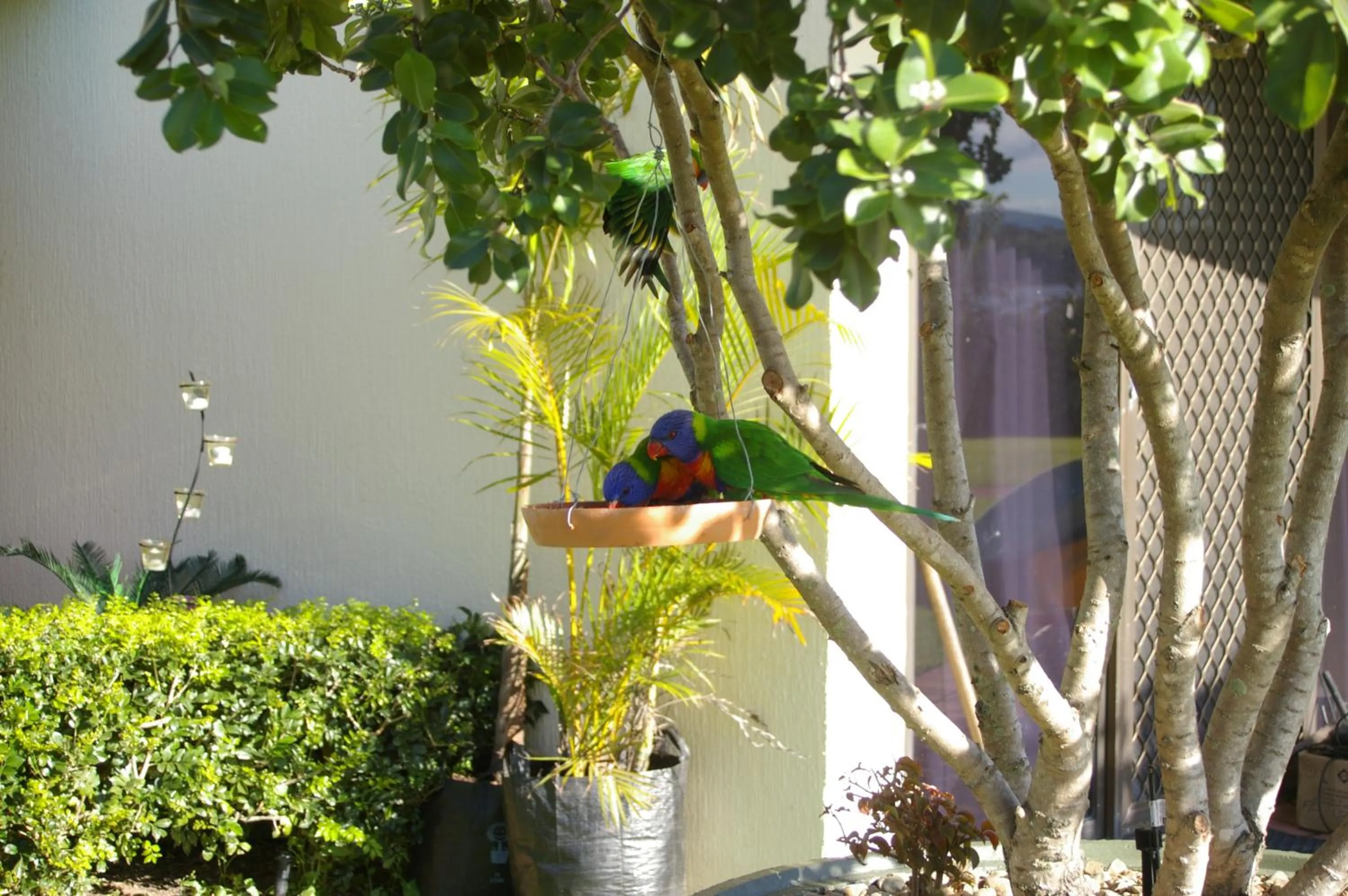 Decorative detail in Trafalgar Towers