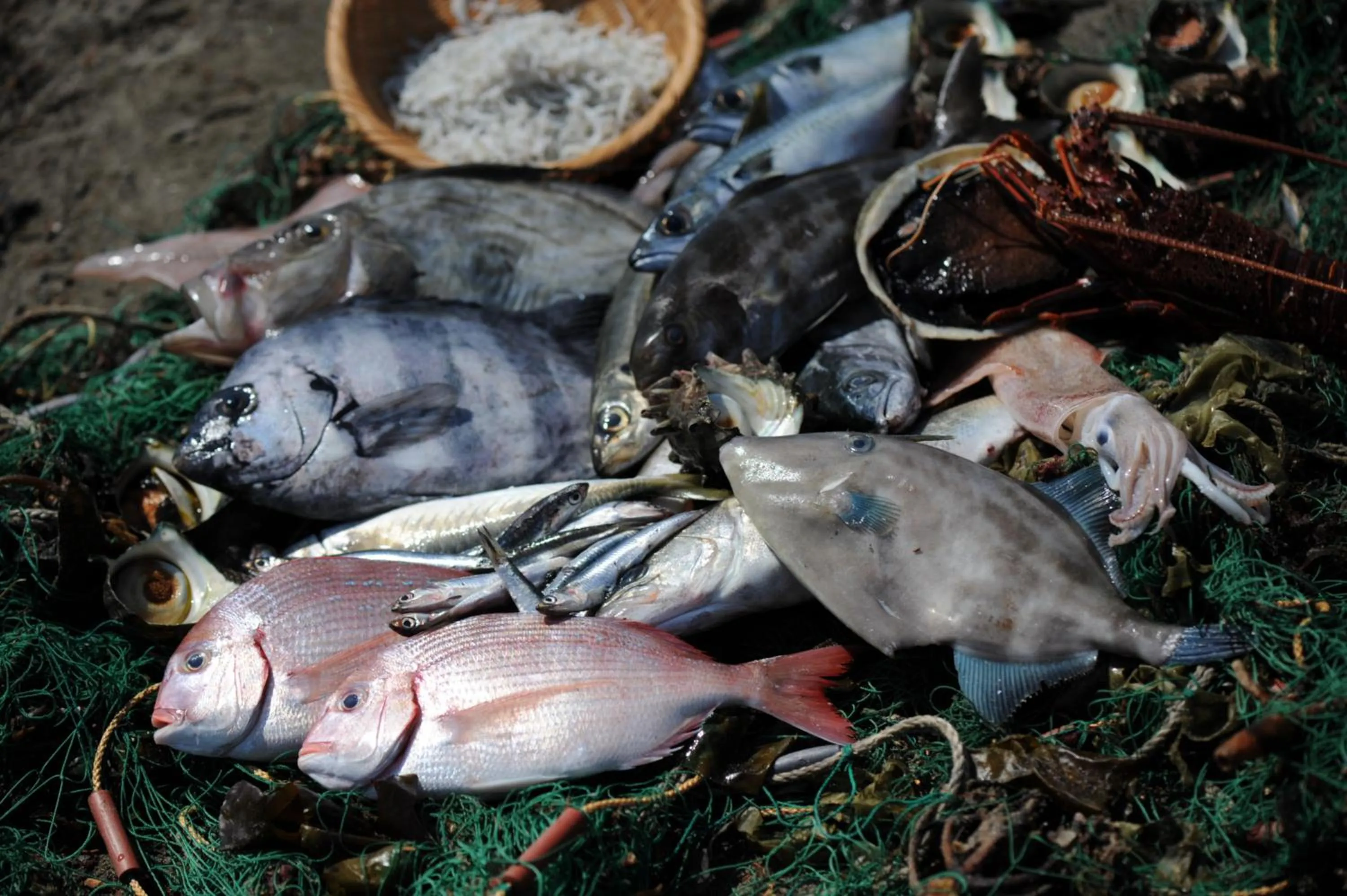 Nearby landmark in Kamakura Park Hotel