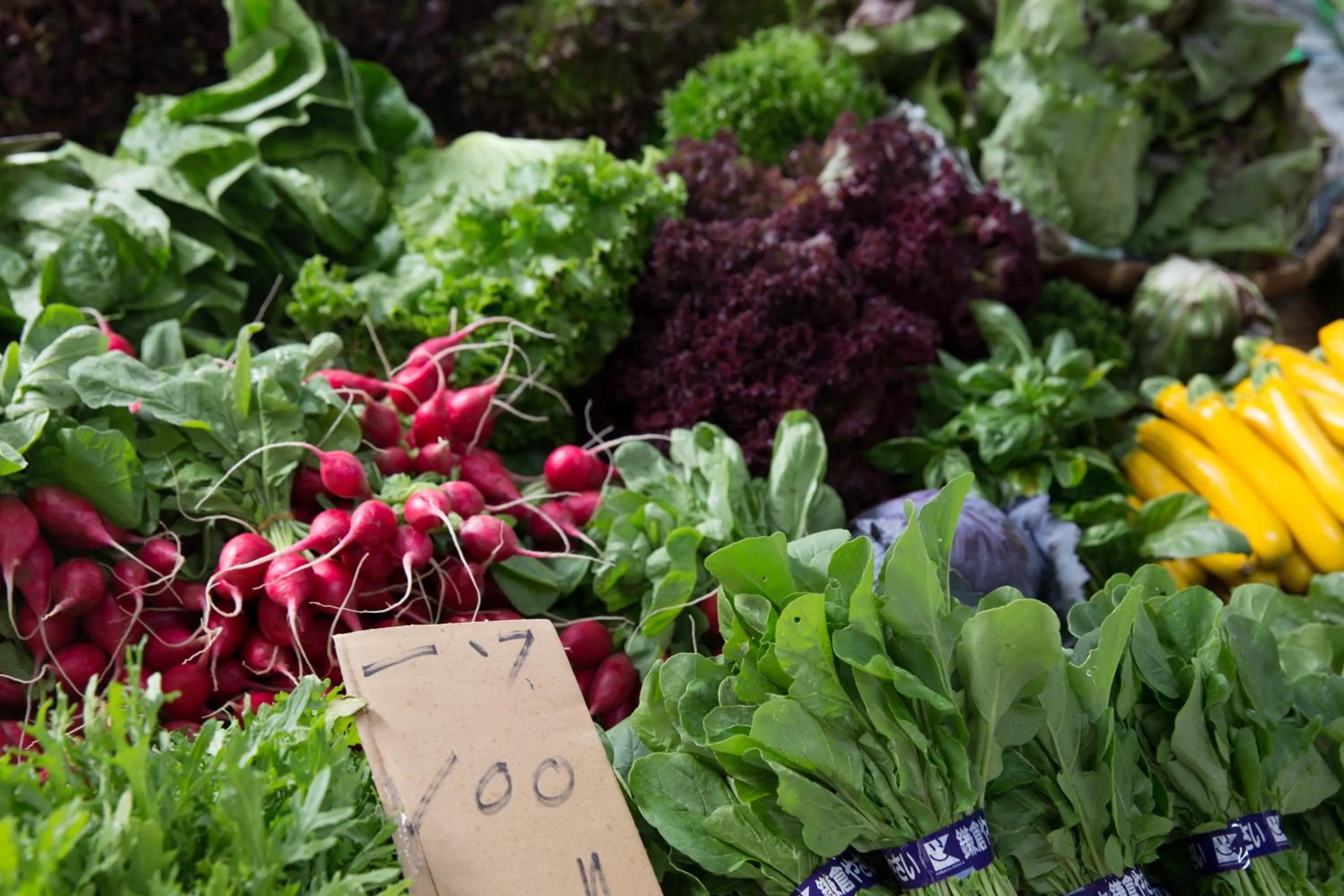 Neighbourhood in Kamakura Park Hotel