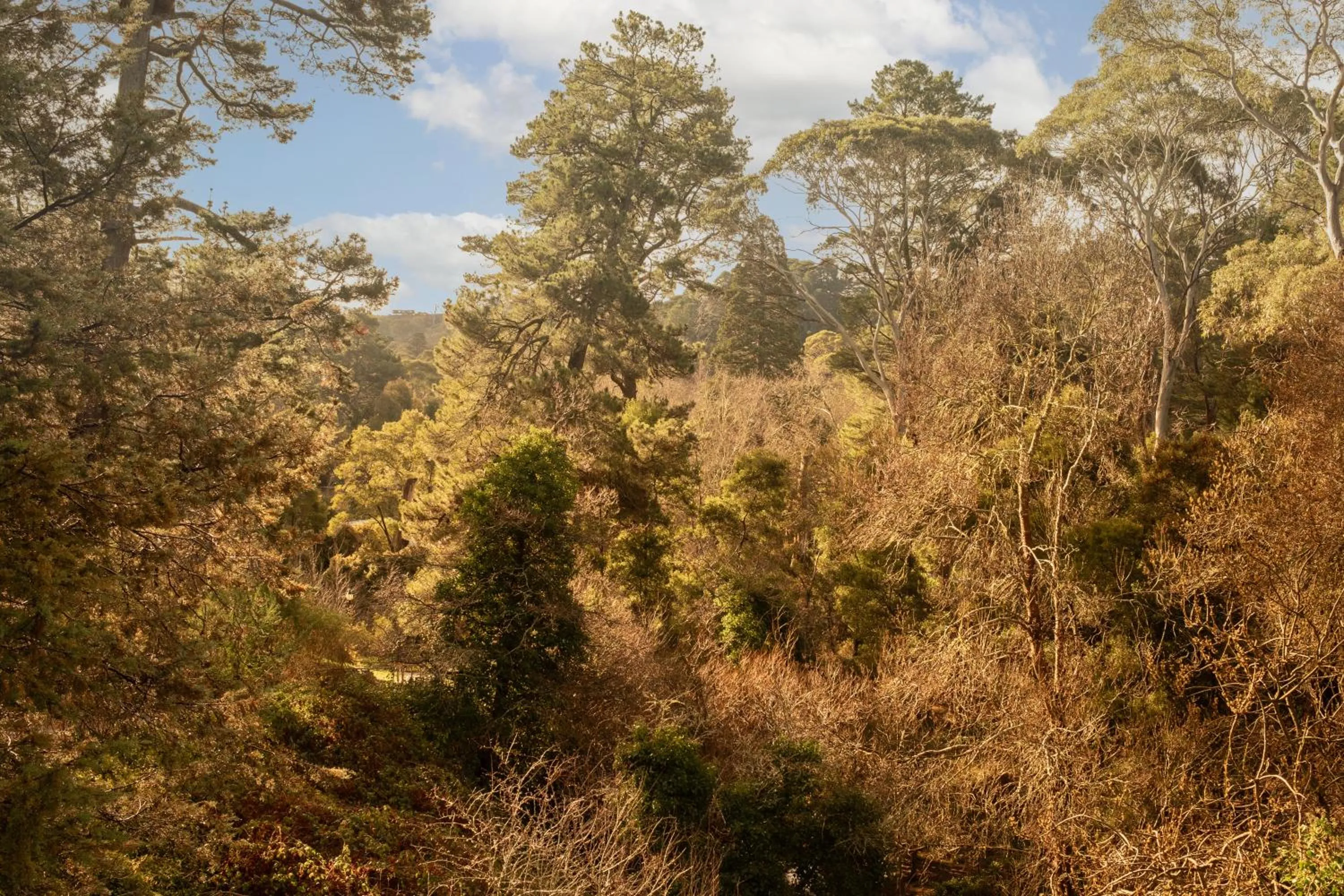 View (from property/room) in Hepburn Springs Motor Inn