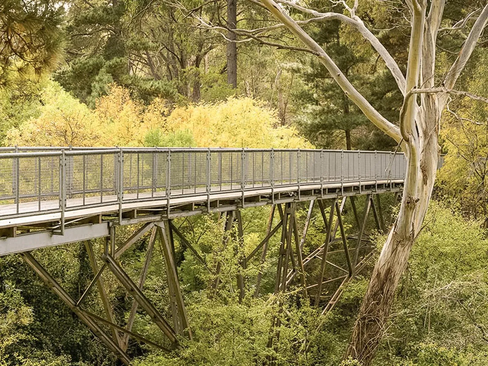 Nearby landmark in Hepburn Springs Motor Inn