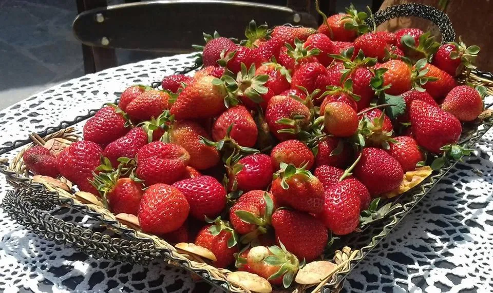 Breakfast in Vasilikata