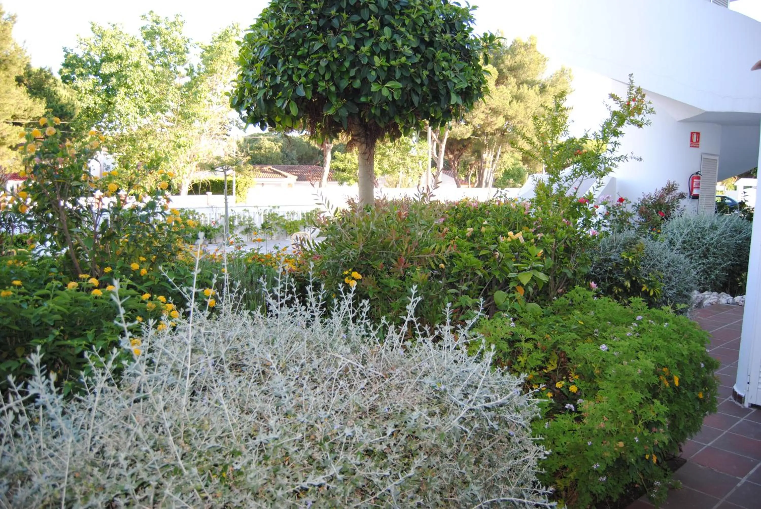 Garden in Taymar
