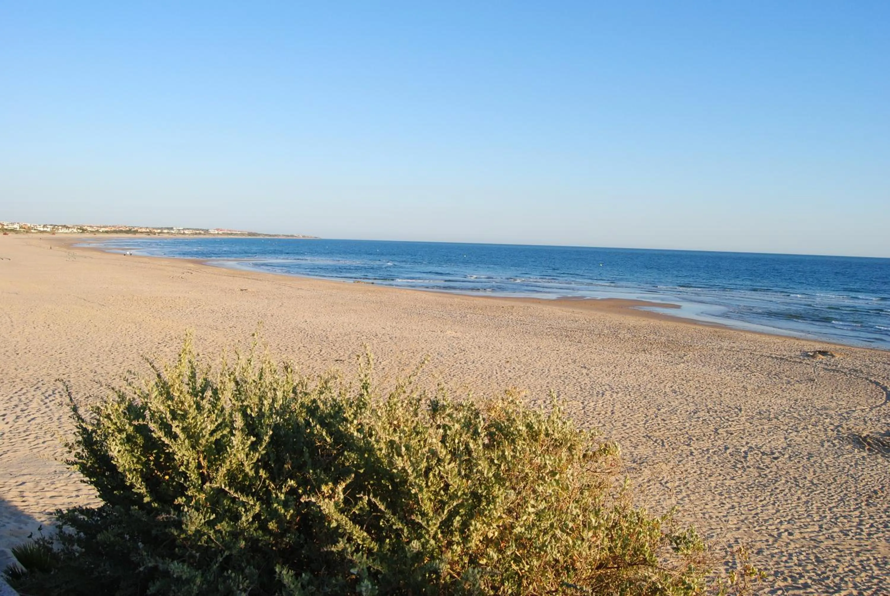 Beach in Taymar