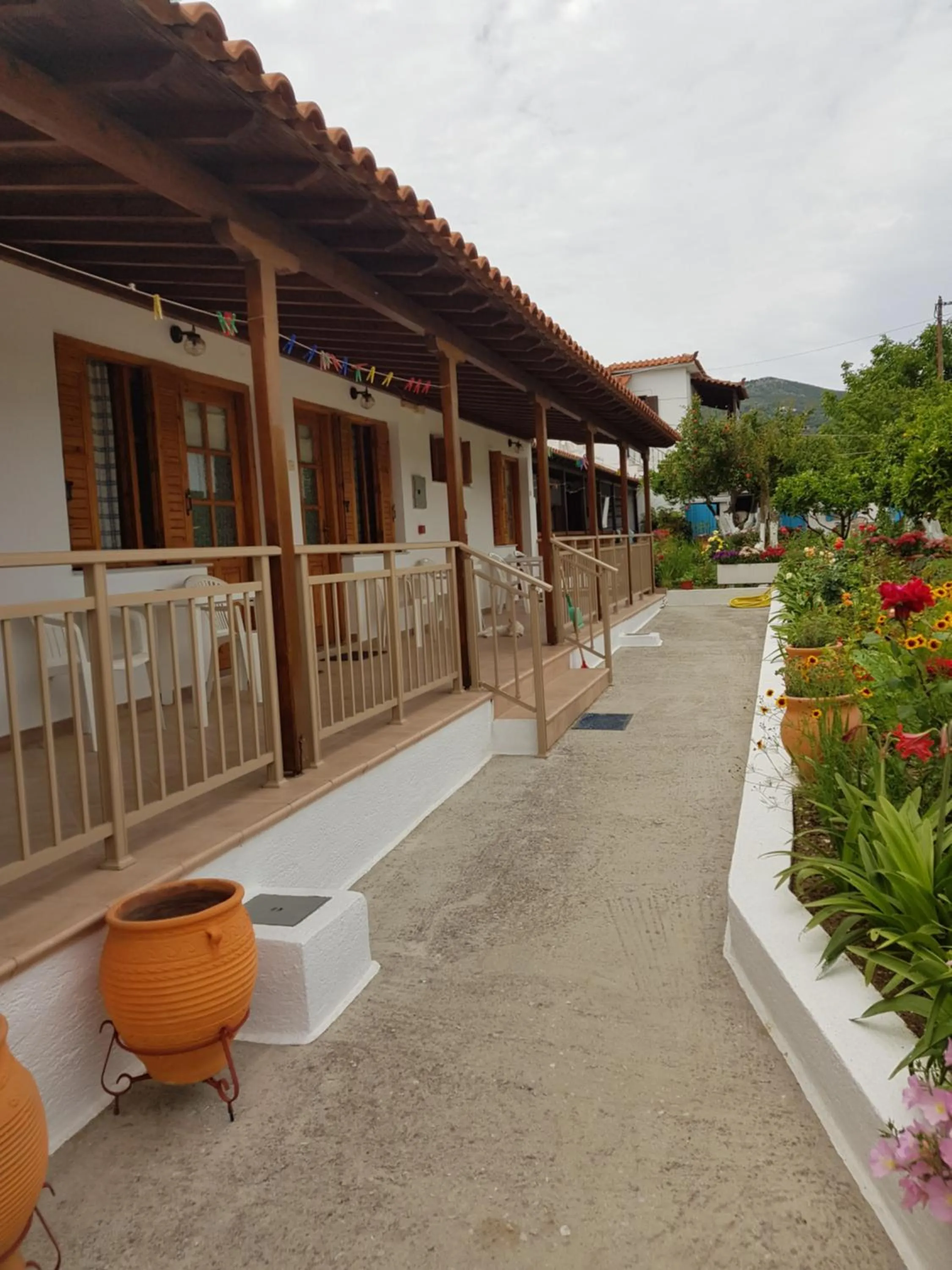 Property building in Asimina's House