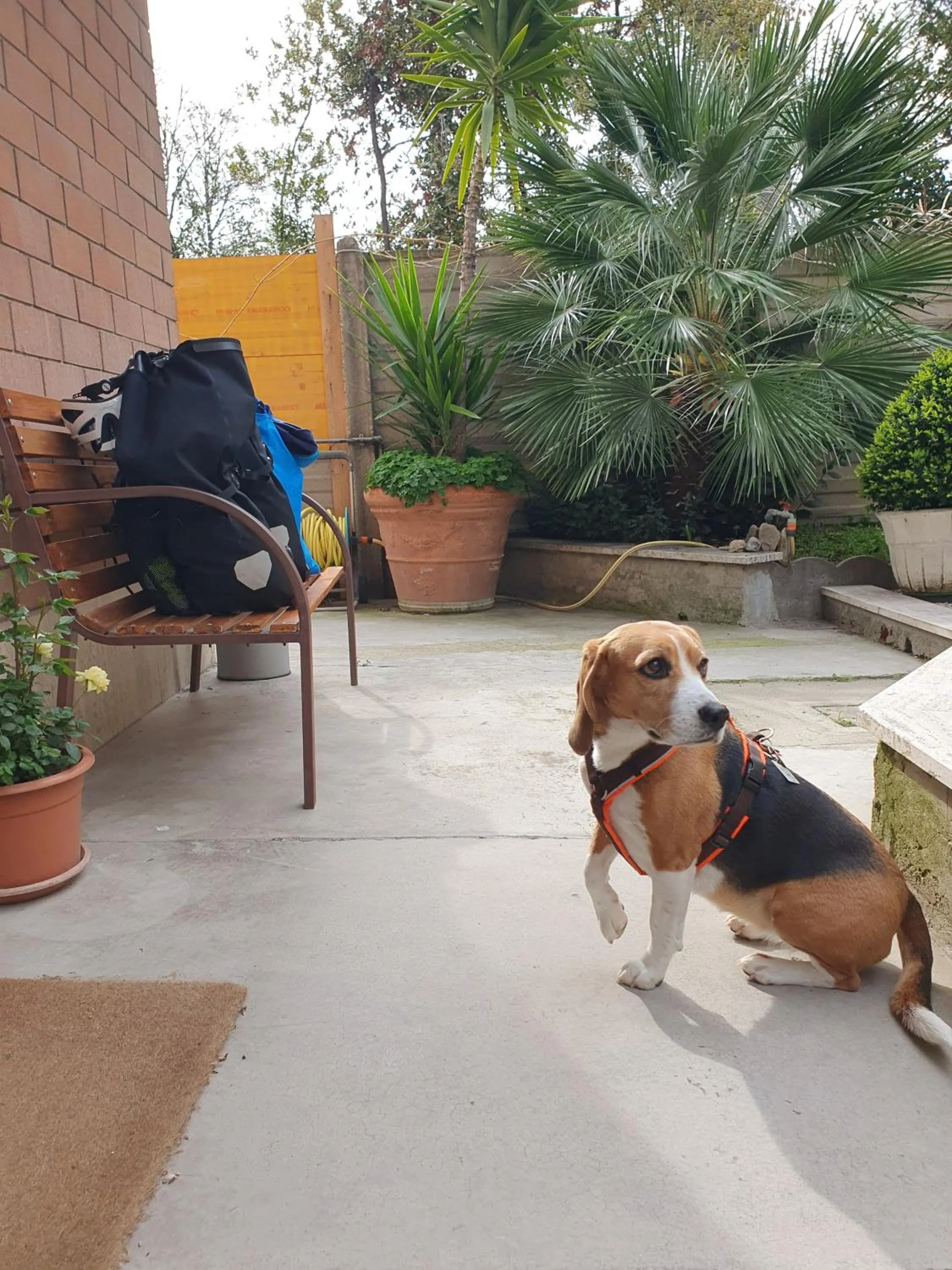 Property building in Hotel Cormorano