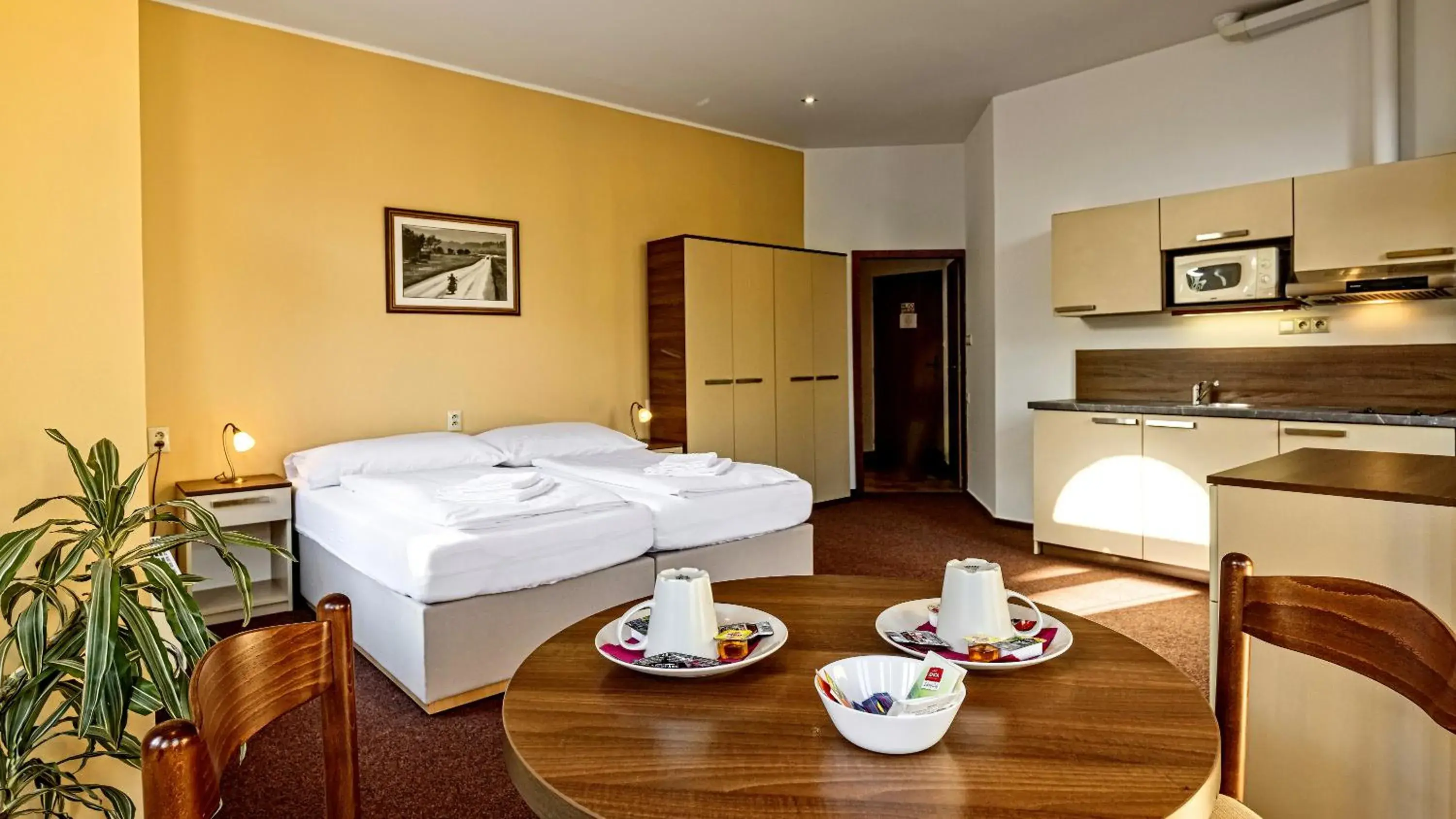 Double or Twin Room in Penzion Dvořákova Double or Twin Room in Penzion Dvořákova