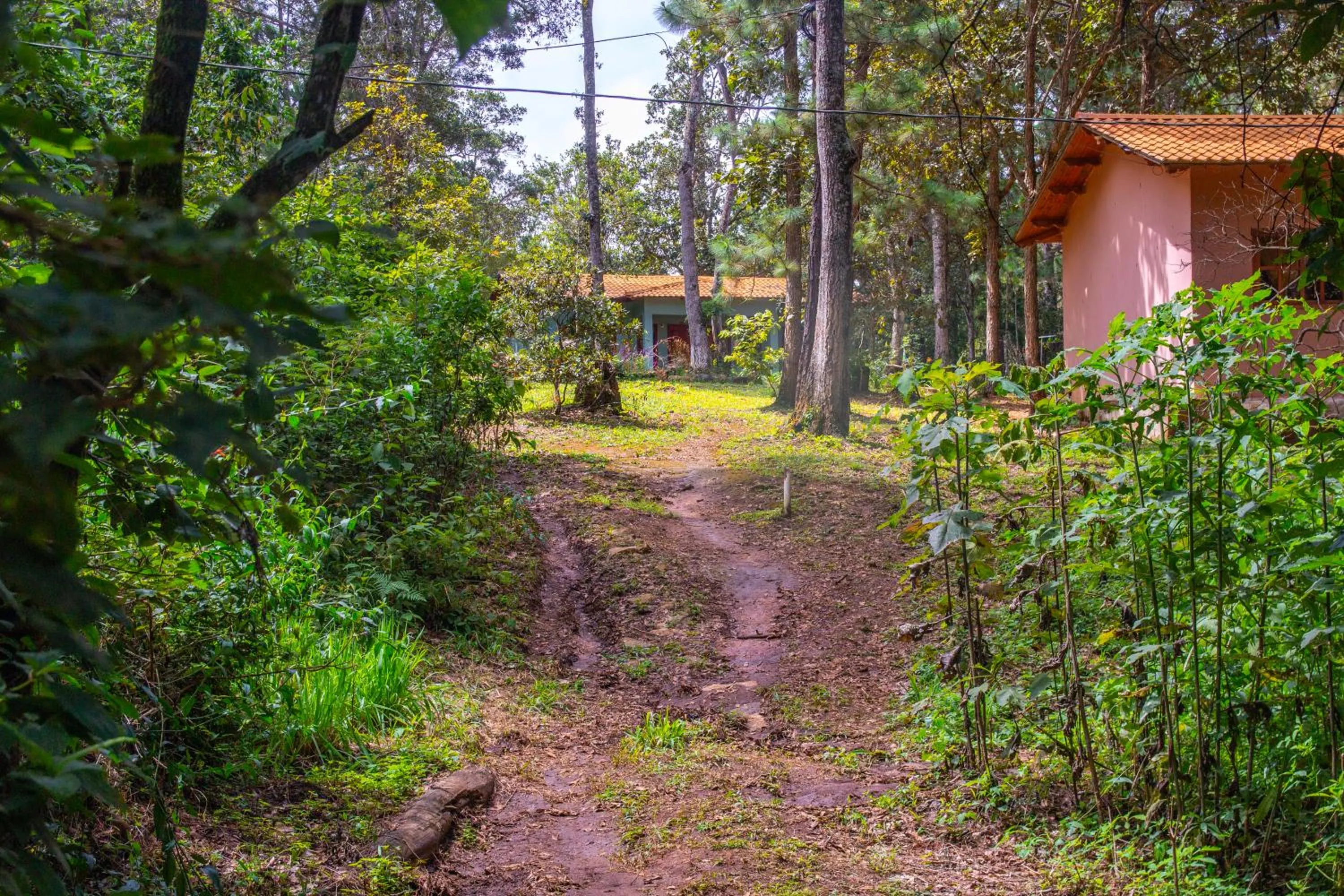 Property building in Hotel Huella Lenca