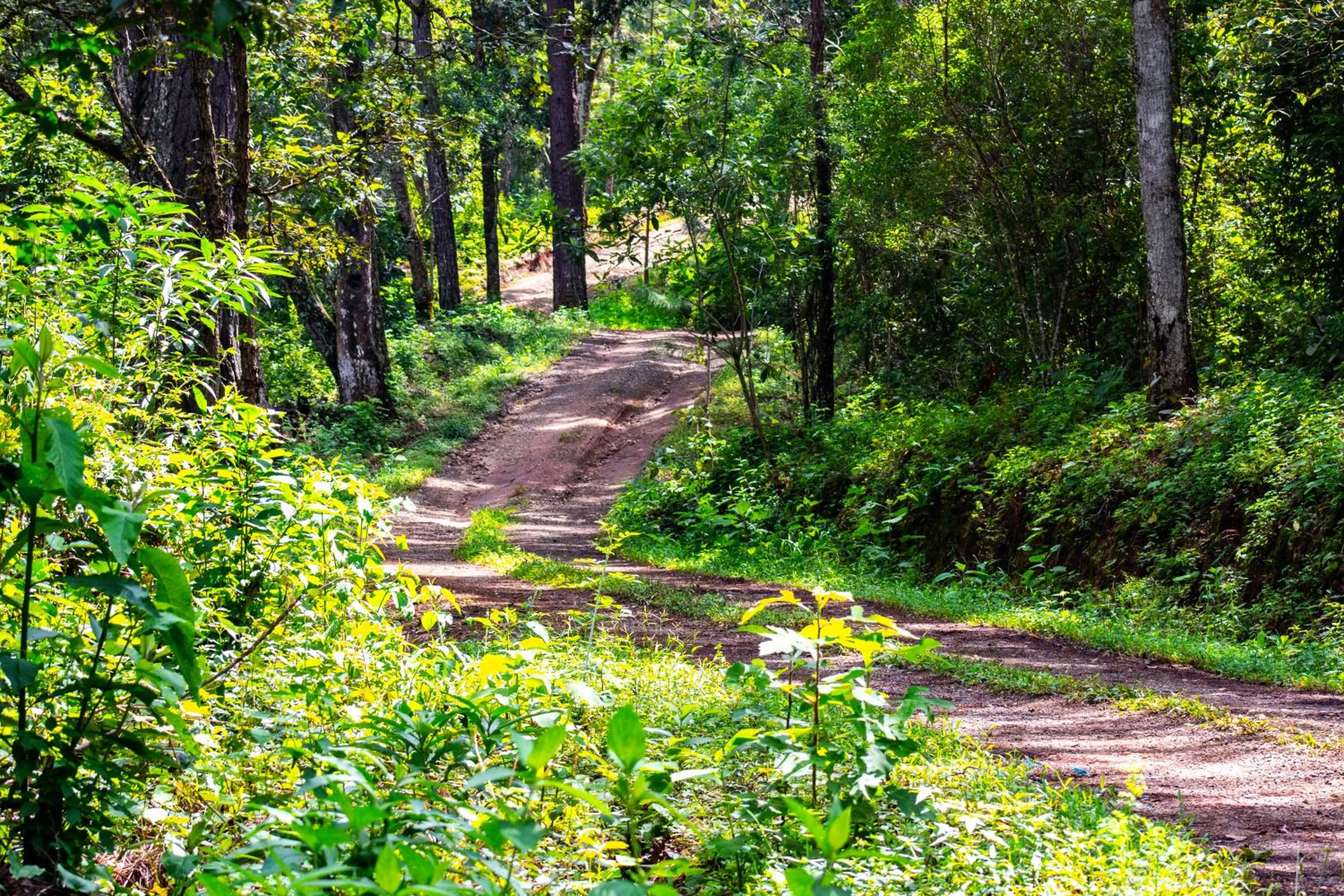 Hiking in Hotel Huella Lenca