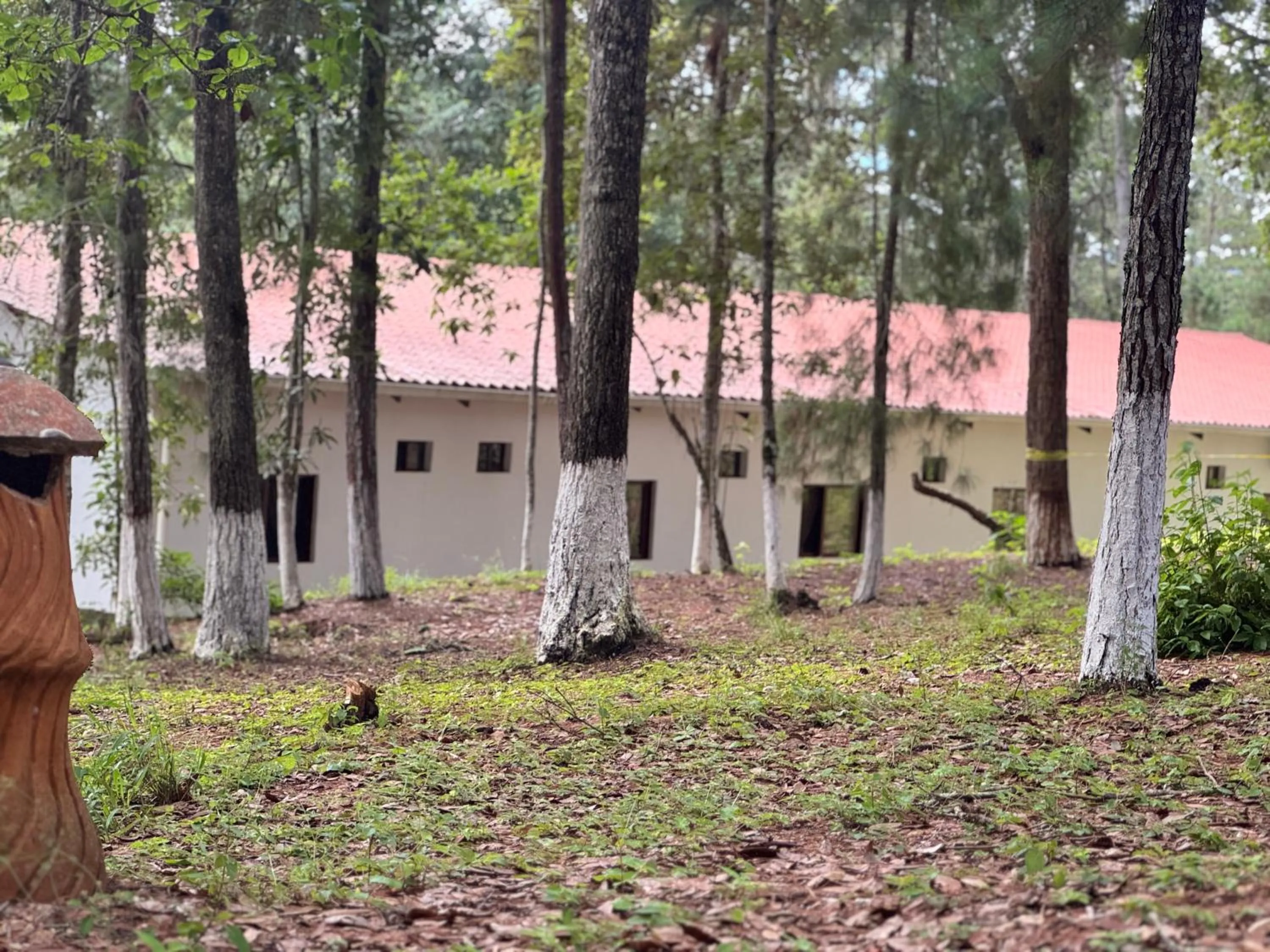 Property building in Hotel Huella Lenca