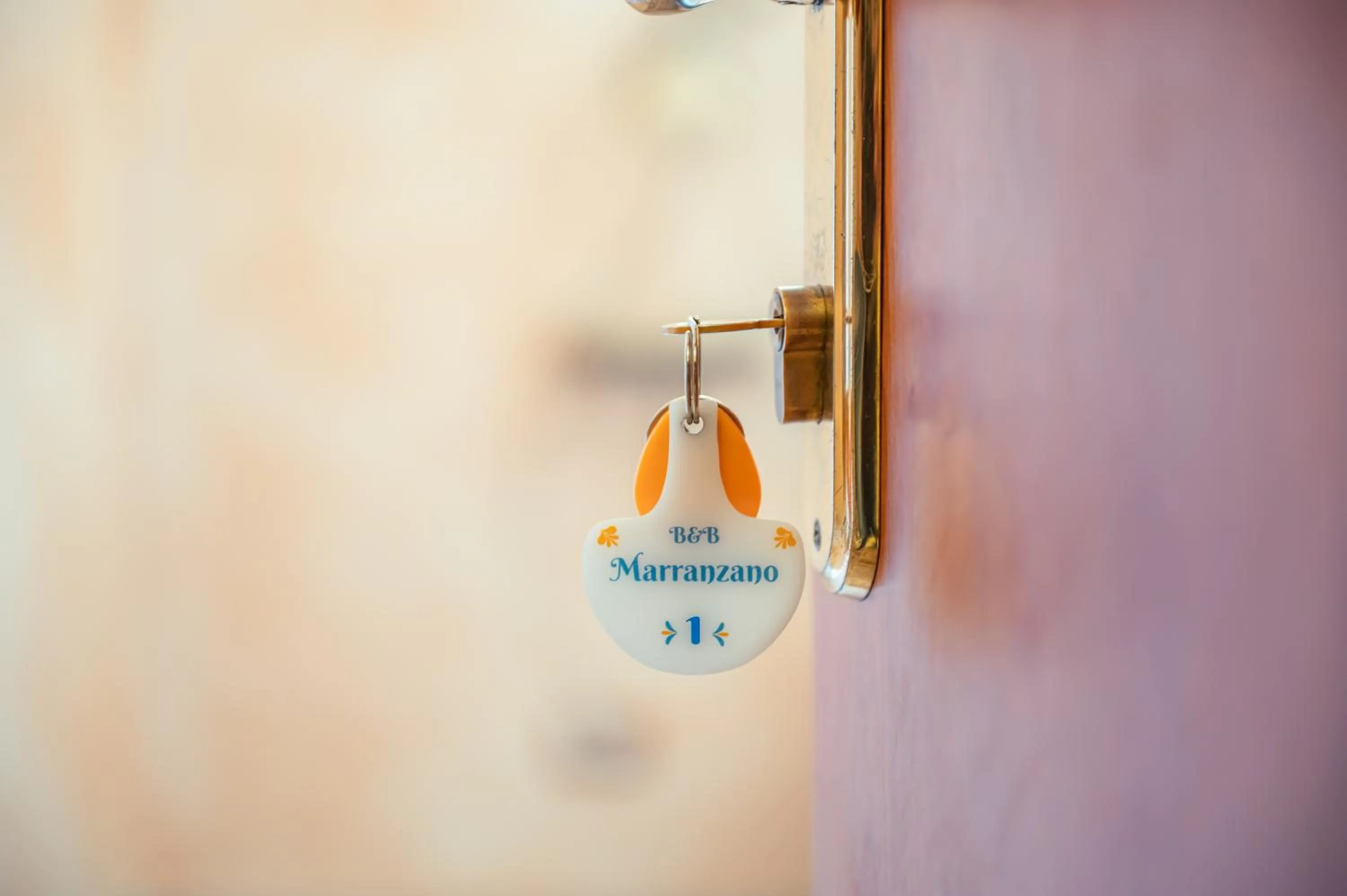 Logo/Certificate/Sign in B&B Marranzano