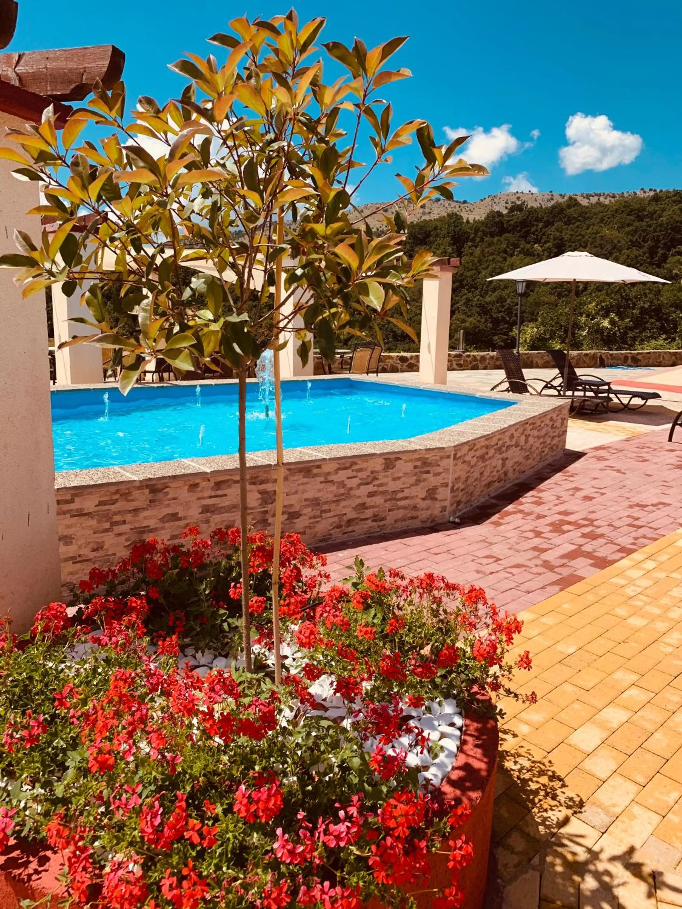 Garden in Hotel Loggas