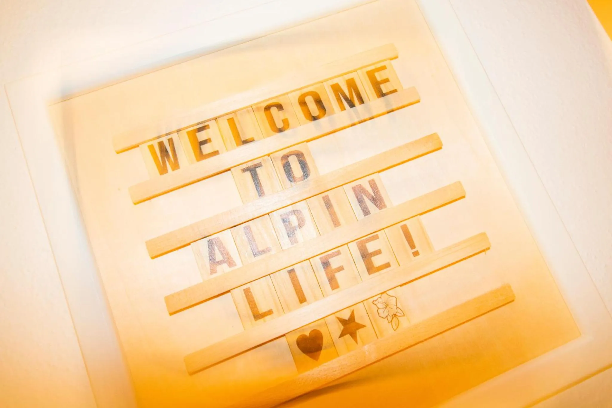 Aparthotel Alpin Life