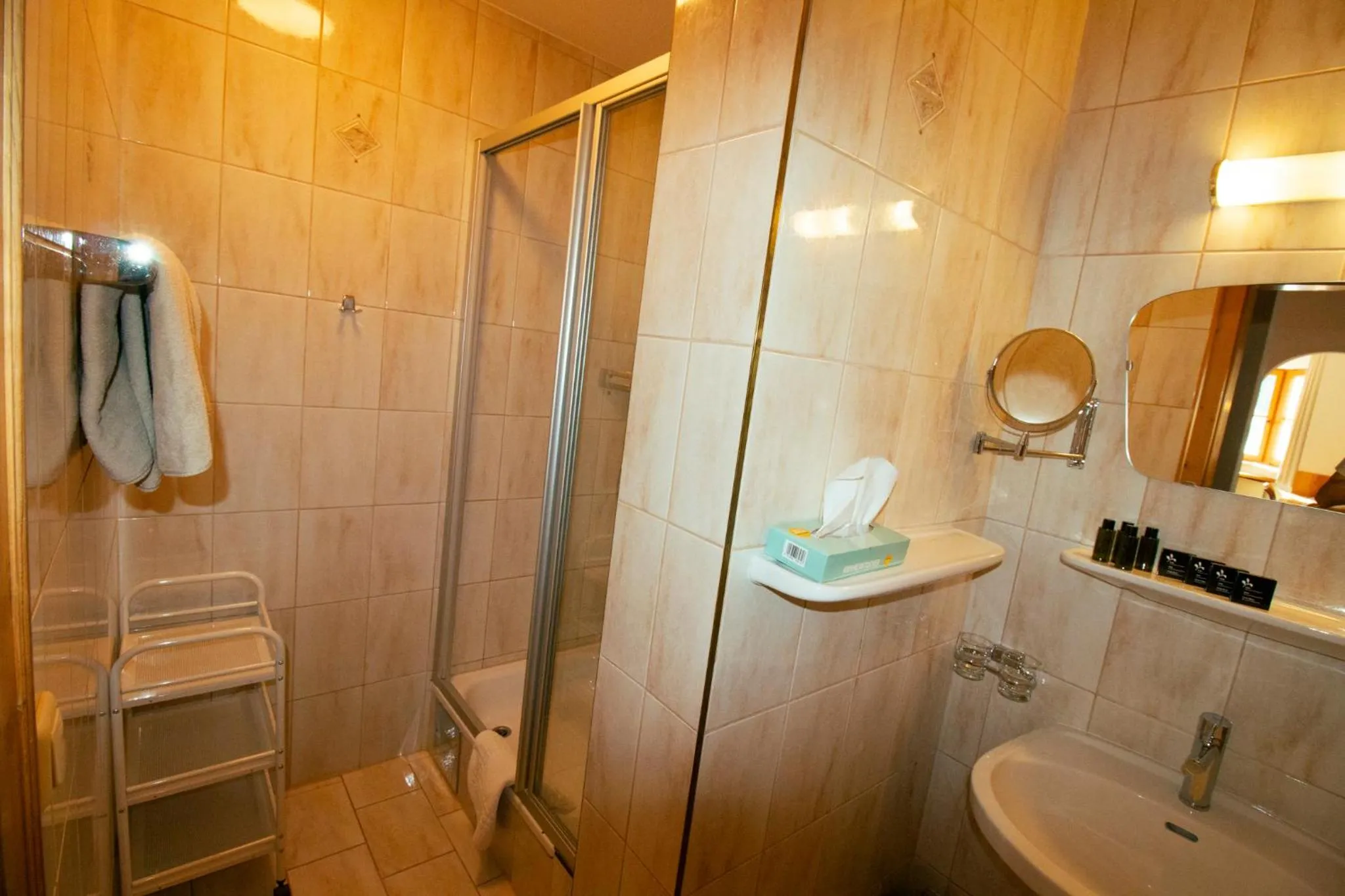 Aparthotel Alpin Life