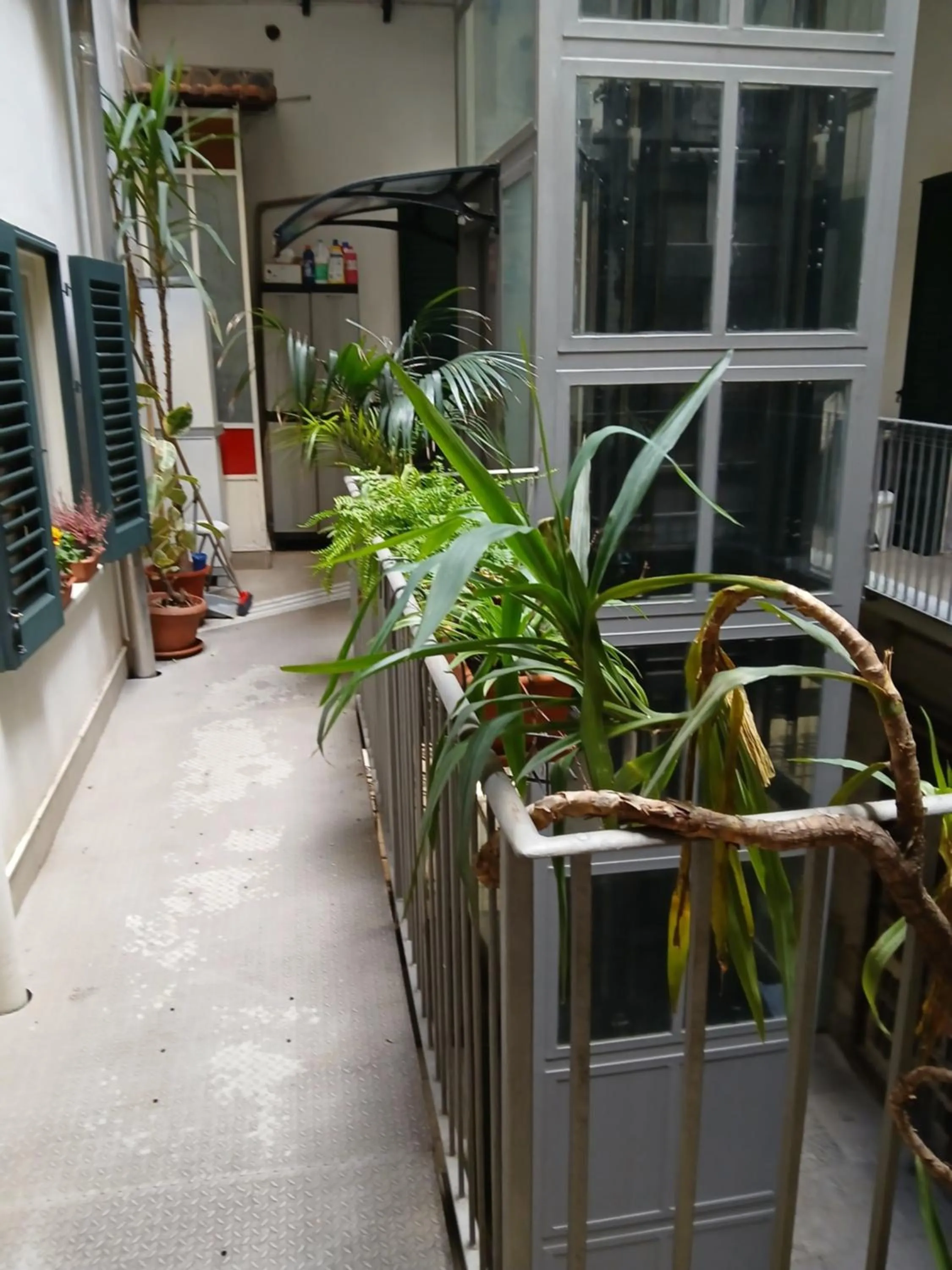 Garden view in B&B Casa Degli Artisti